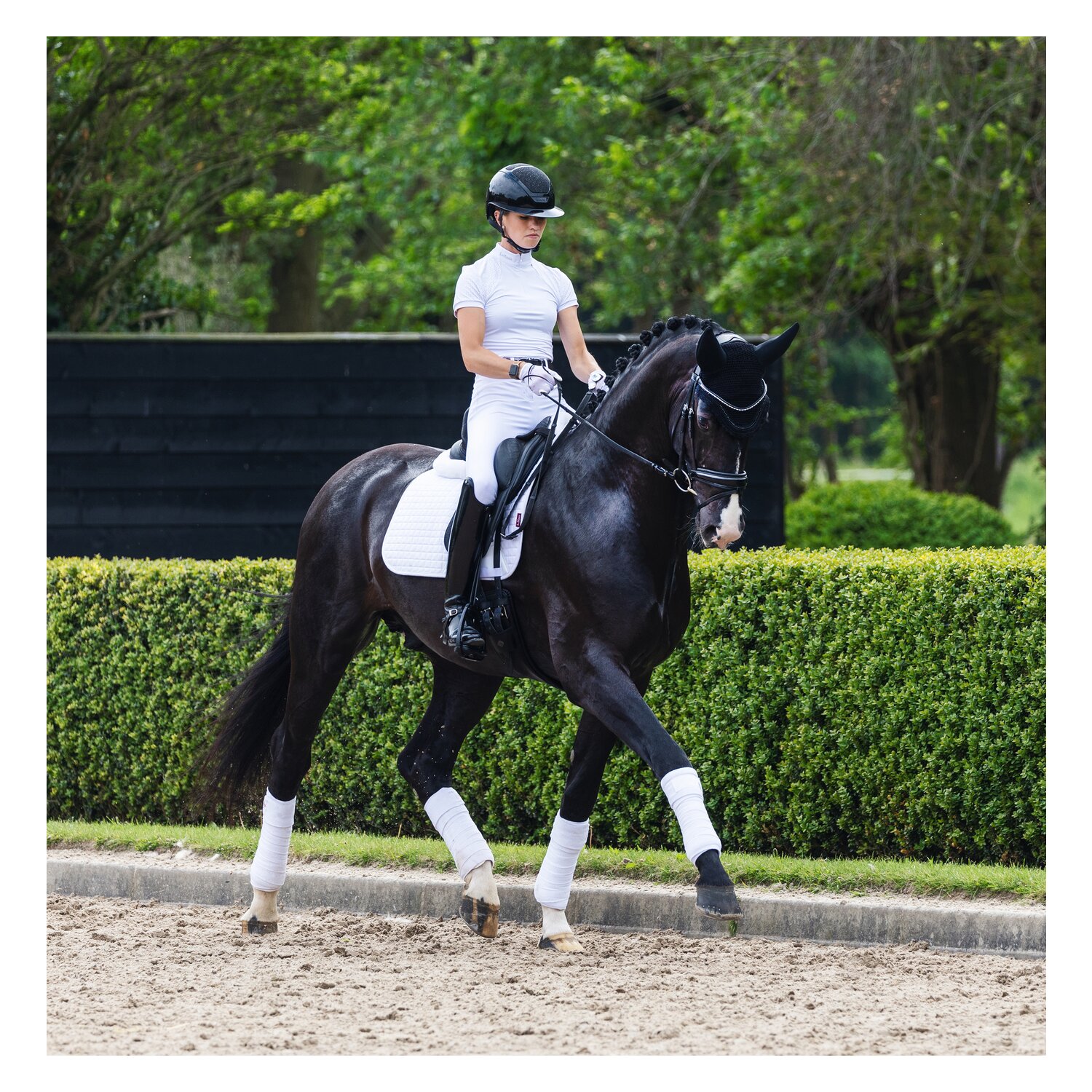 LeMieux Core Schabracke Suede – Ansicht 3