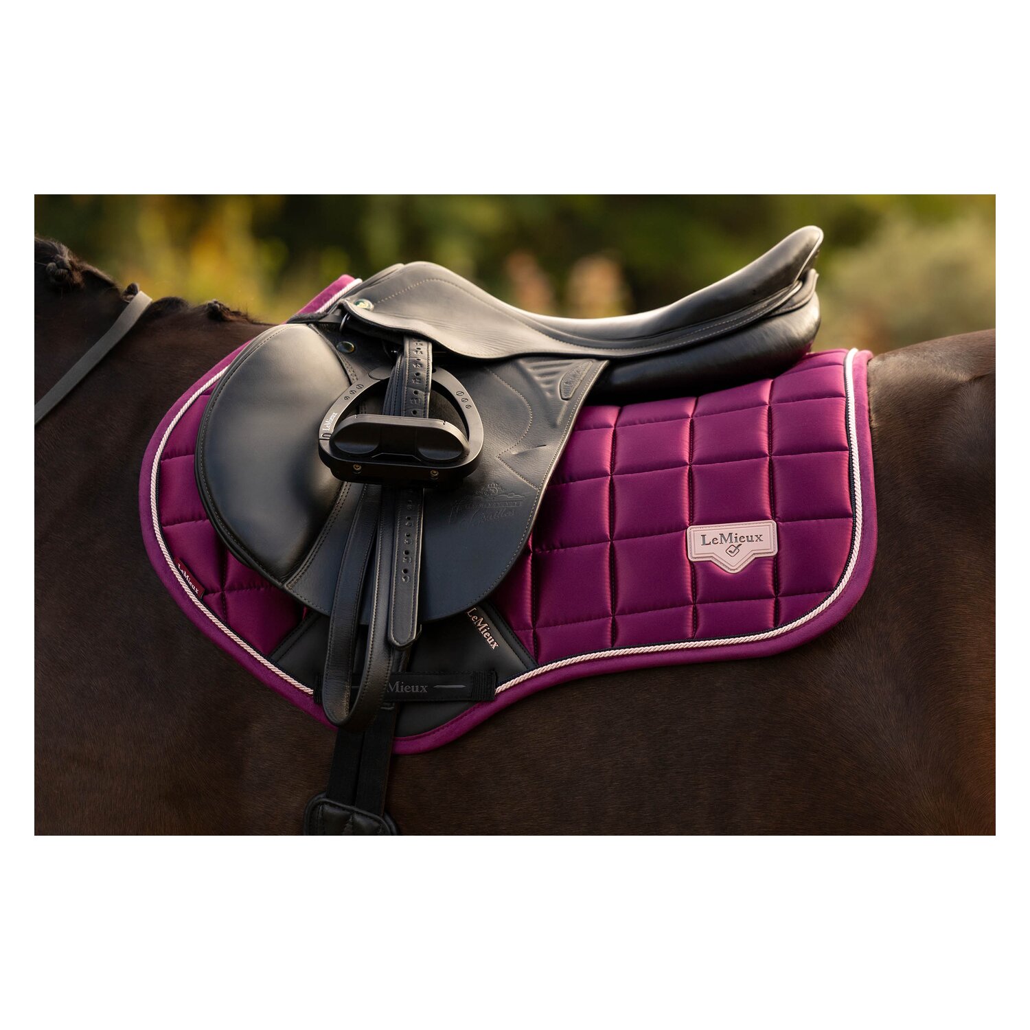 LeMieux Core Schabracke Loire Classic Satin &ndash; Ansicht 3