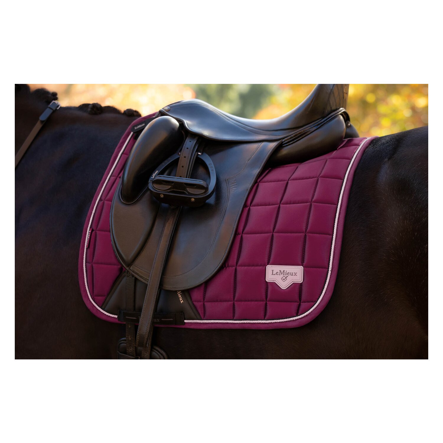 LeMieux Core Schabracke Loire Classic Satin &ndash; Ansicht 4