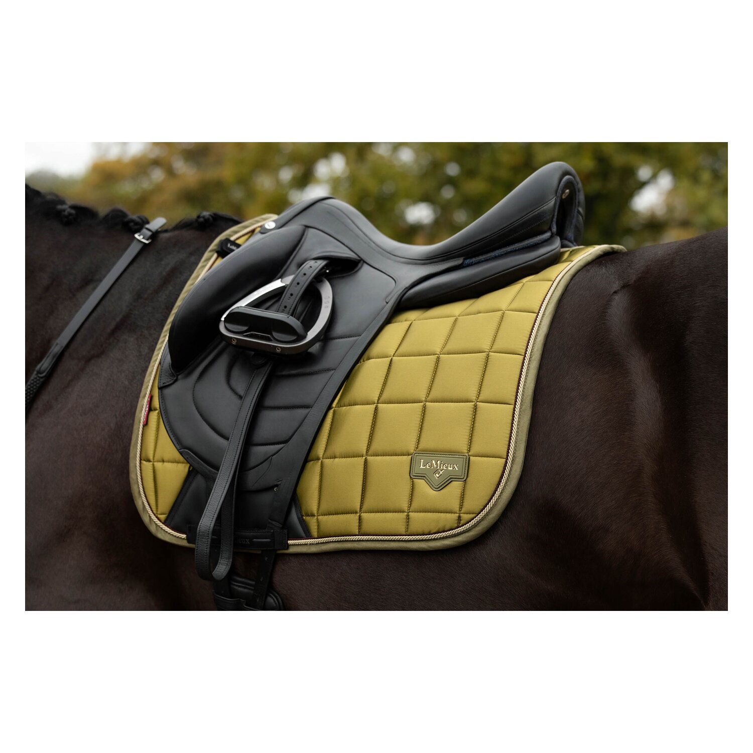 LeMieux Core Schabracke Loire Classic Satin &ndash; Ansicht 5