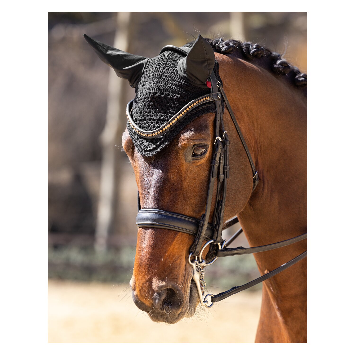 LeMieux Core Fliegenohren Vogue &ndash; Ansicht 2