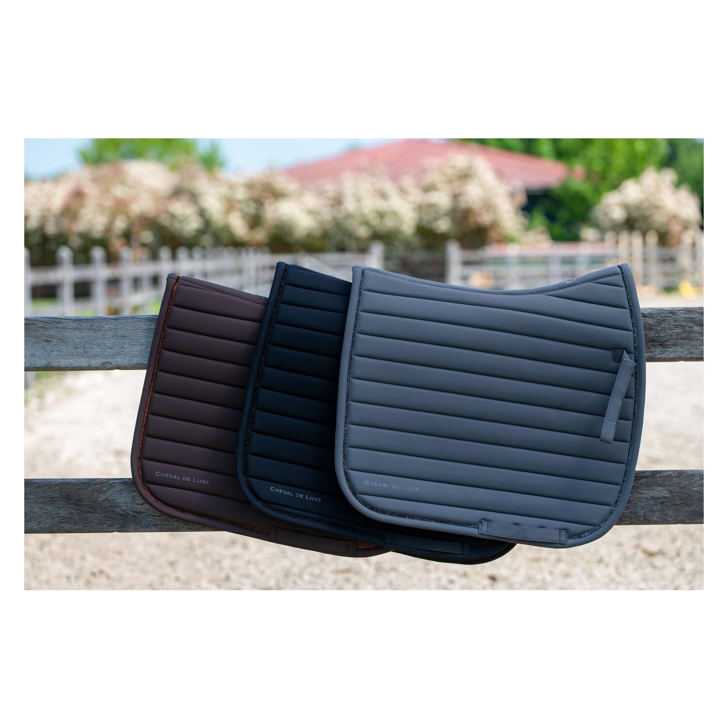 Cheval de Luxe Schabracke Avignon – Ansicht 3