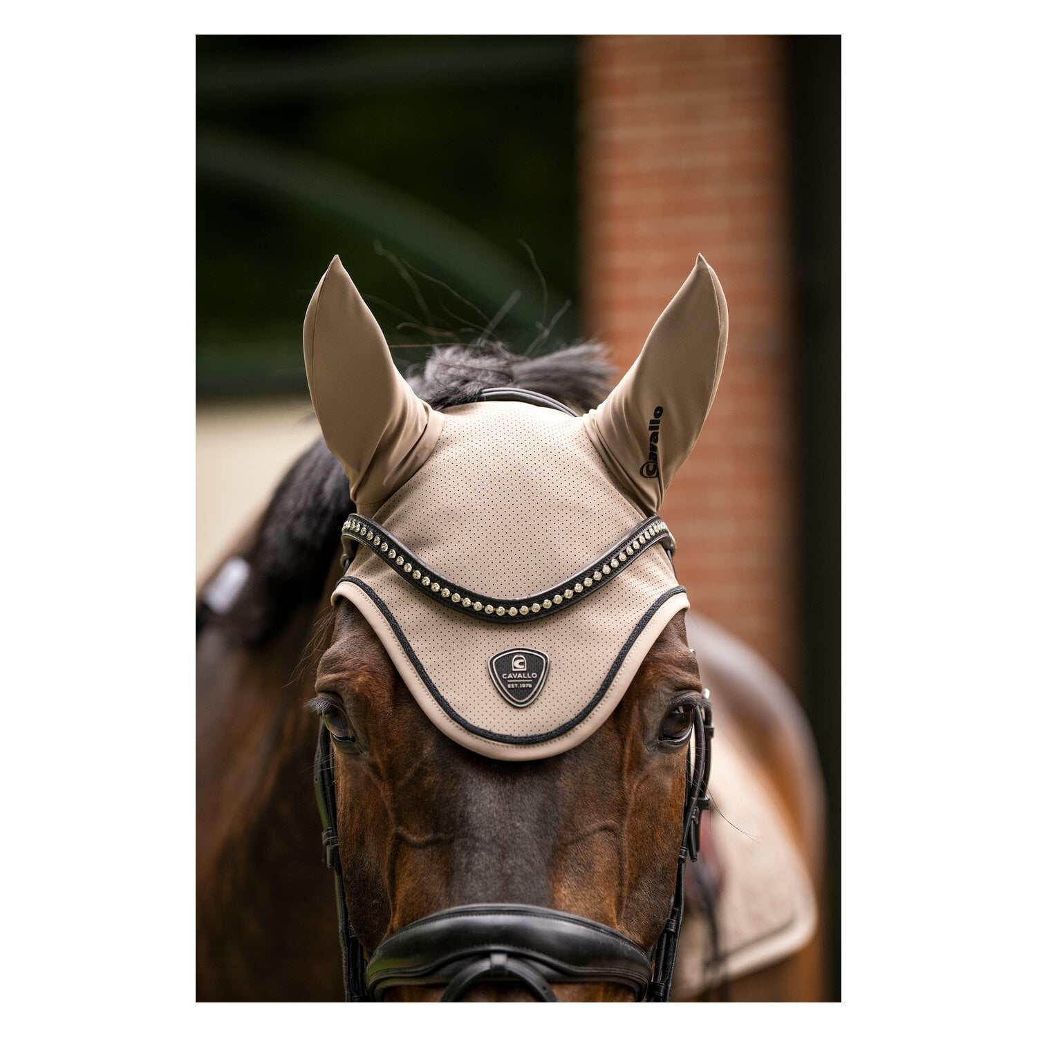 Cavallo Fliegenohren CAVALJACKIE &ndash; Ansicht 3
