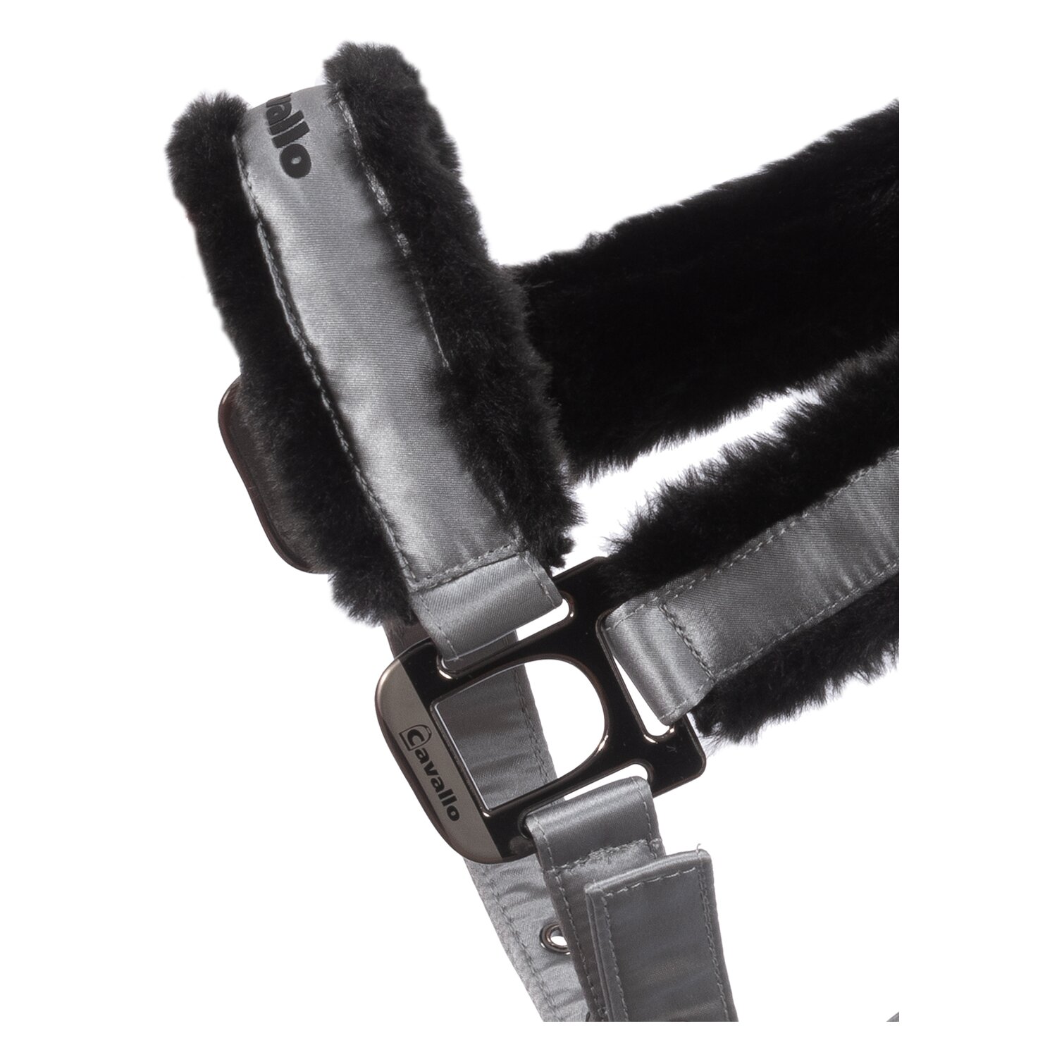 Cavallo Halfter CAVALJERO – Ansicht 2