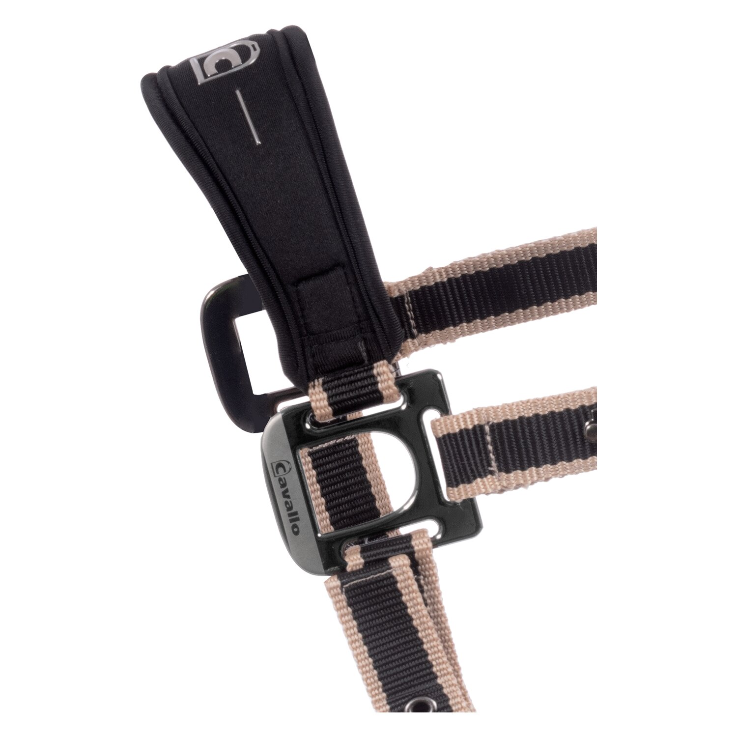 Cavallo Halfter CAVALSOFTSHELL HEAD COLLAR – Ansicht 2