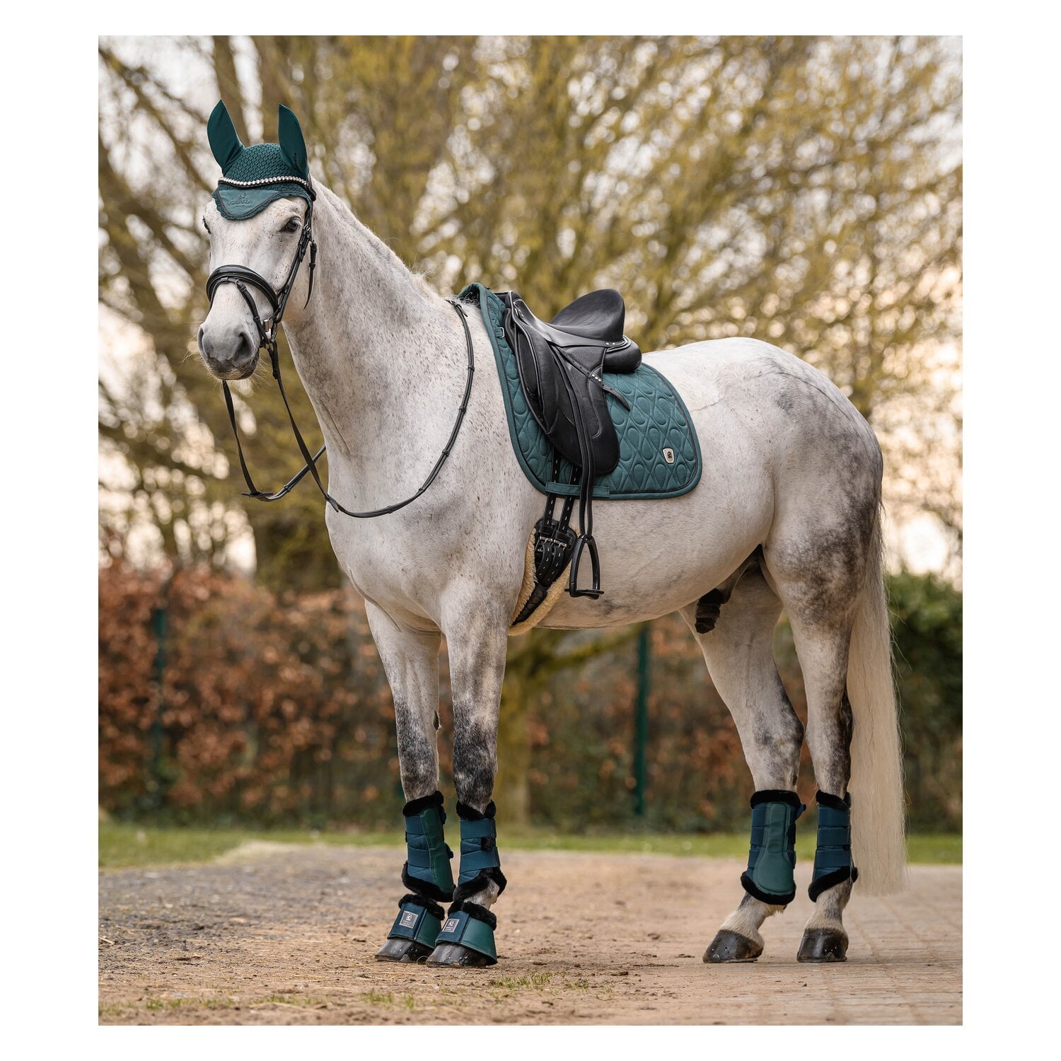 Cavallo Schabracke CAVALPOLLY &ndash; Ansicht 7