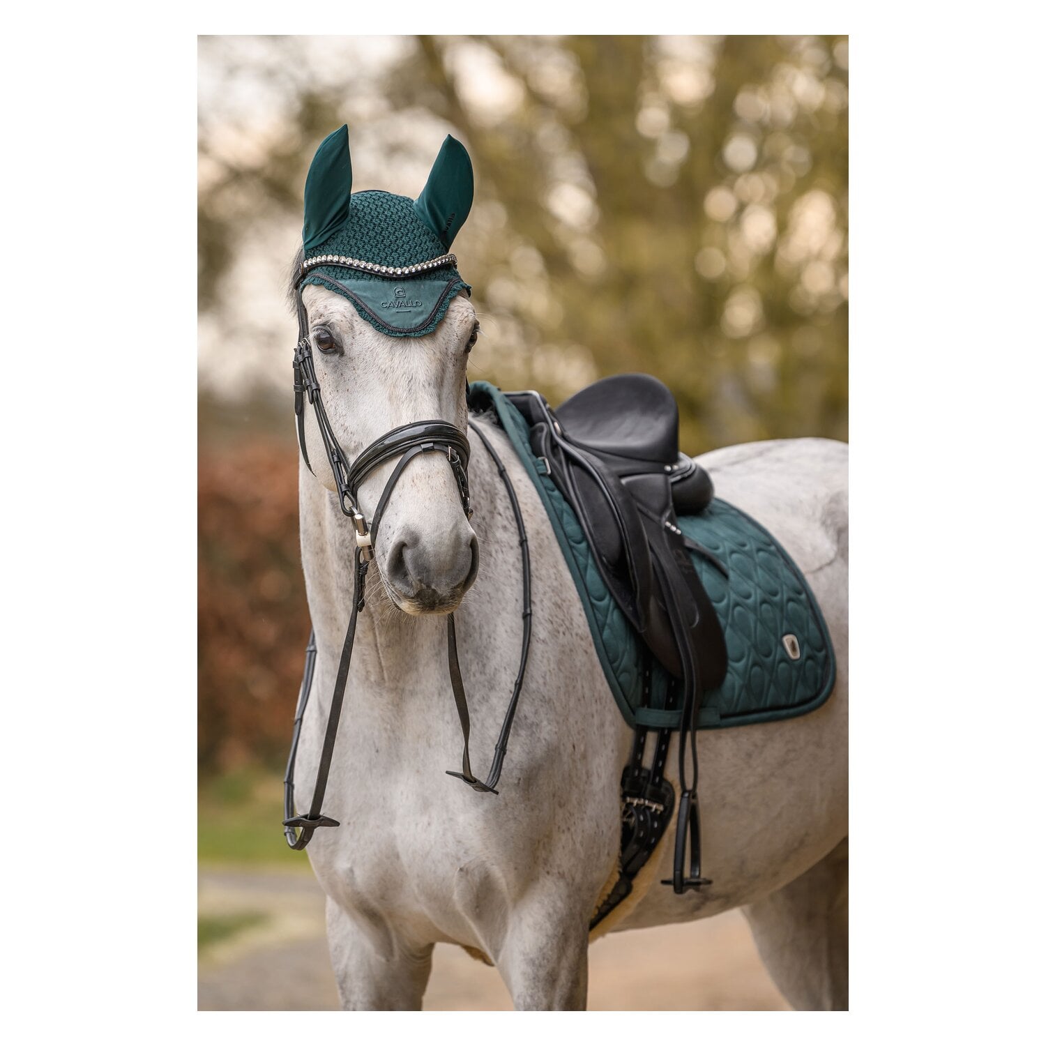 Cavallo Schabracke CAVALPOLLY &ndash; Ansicht 8