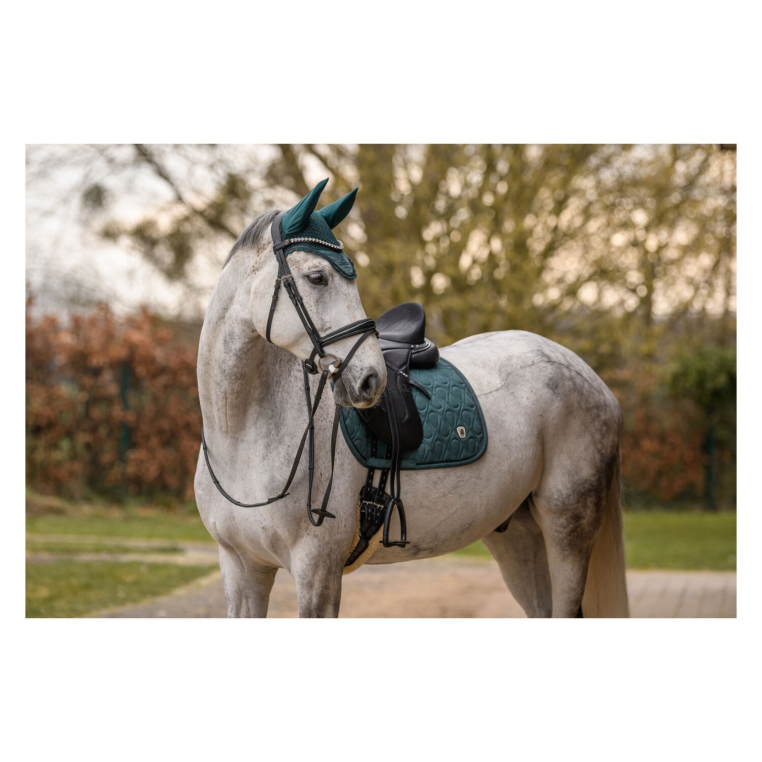 Cavallo Schabracke CAVALPOLLY &ndash; Ansicht 6