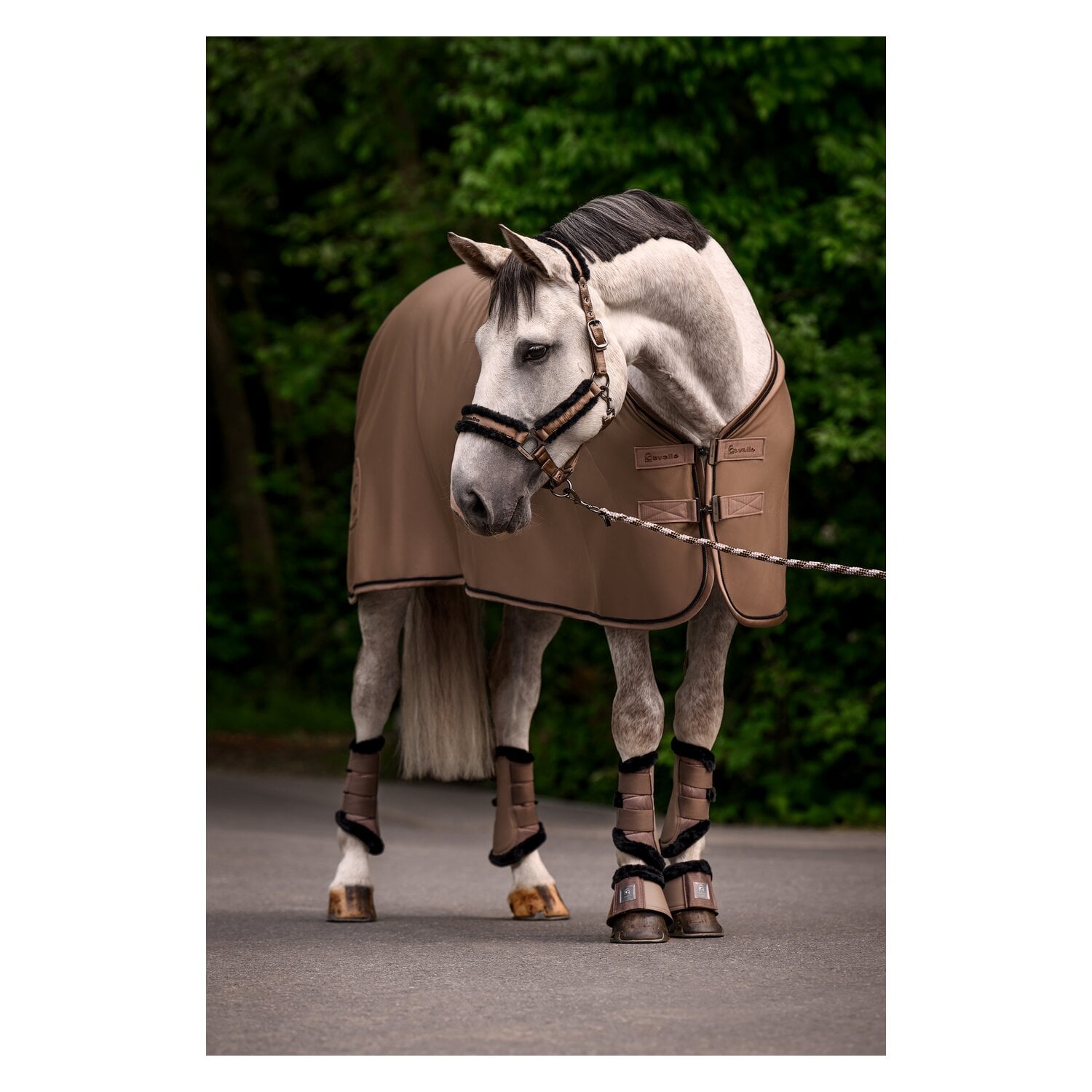 Cavallo Abschwitzdecke CAVALQUICK DRY COOLER RUG &ndash; Ansicht 3