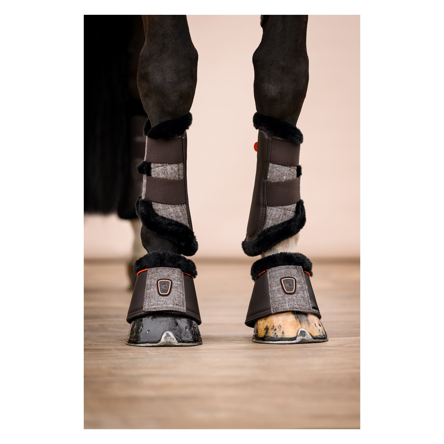 Cavallo Hufglocken CAVALLENI – Ansicht 3