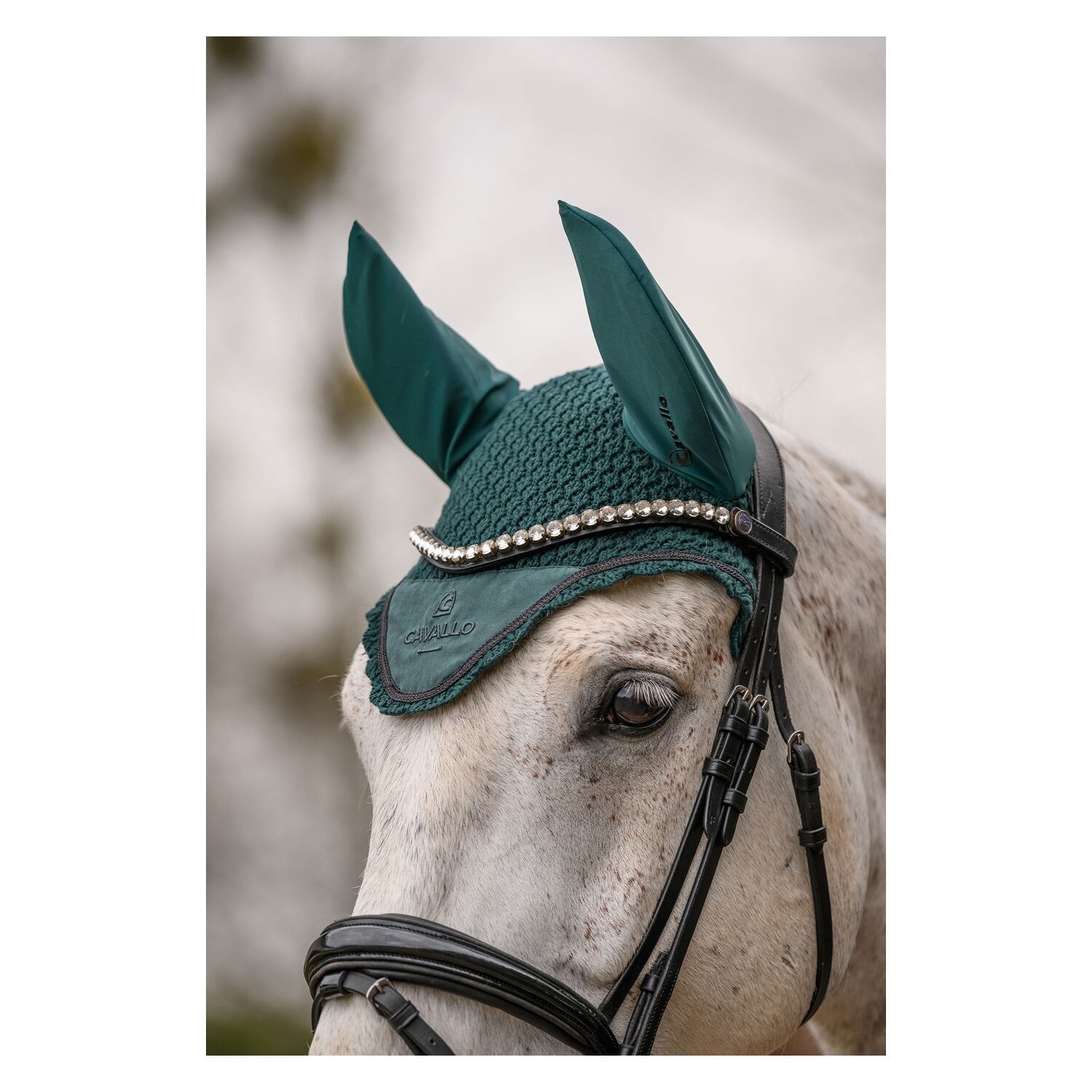 Cavallo Fliegenohren CAVALPERLA &ndash; Ansicht 4