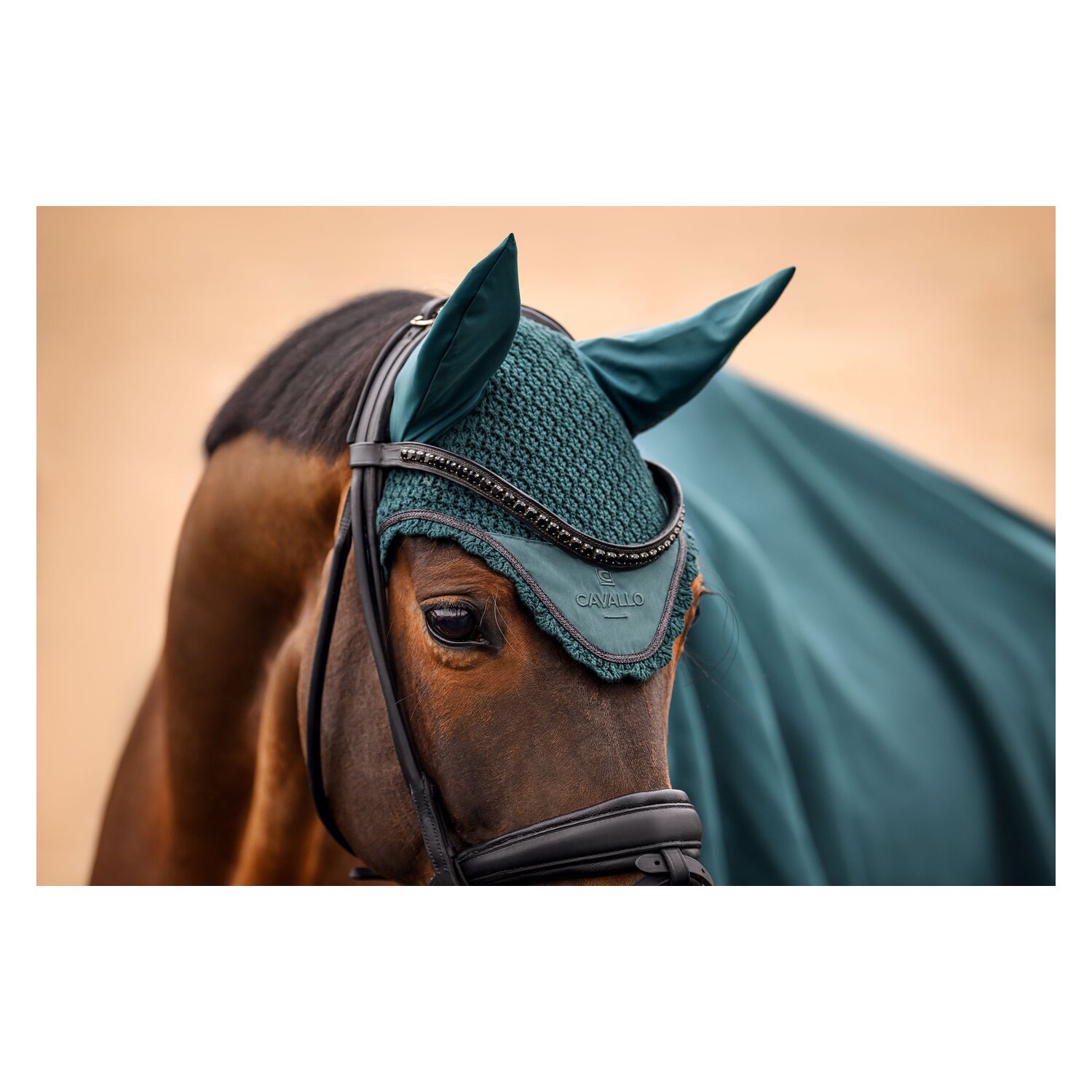 Cavallo Fliegenohren CAVALPERLA &ndash; Ansicht 3