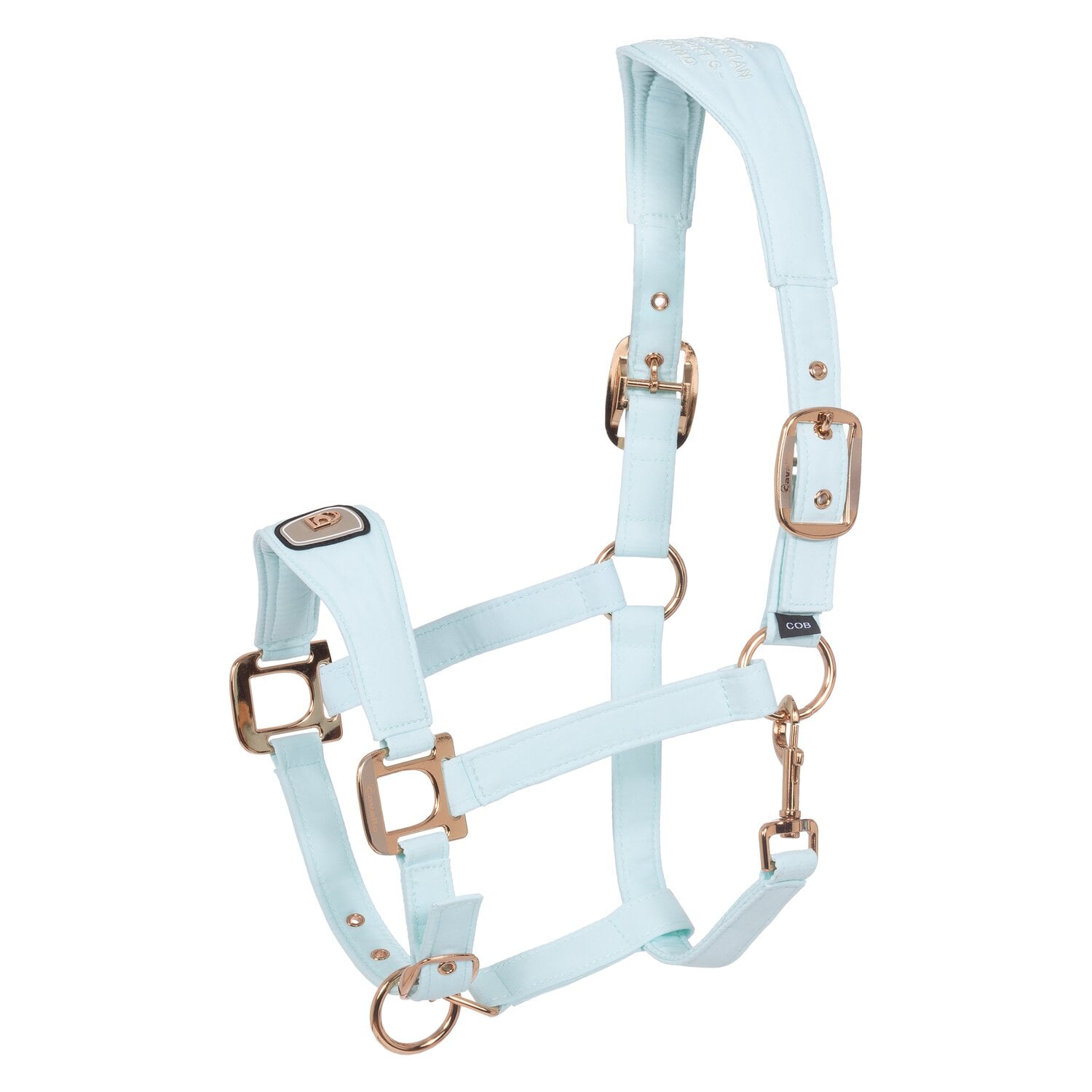 Cavallo Halfter CAVALPAWEL &ndash; Ansicht 1