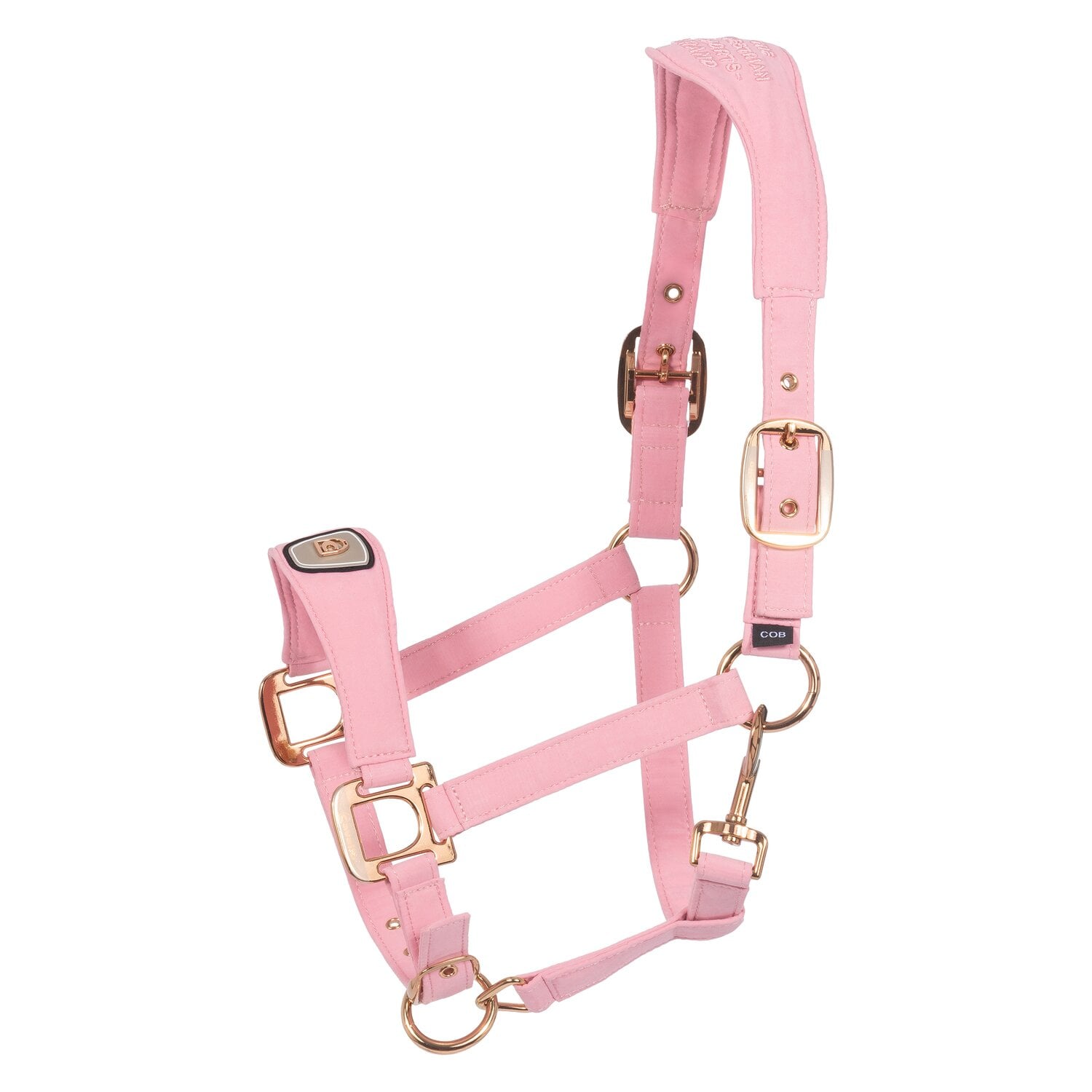 Cavallo Halfter CAVALPAWEL &ndash; Ansicht 1