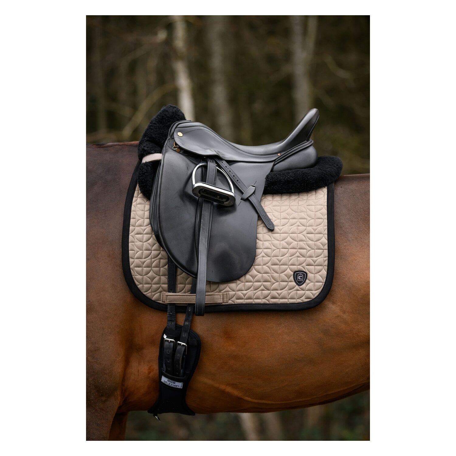 Cavallo Schabracke CAVALRONJA &ndash; Ansicht 4
