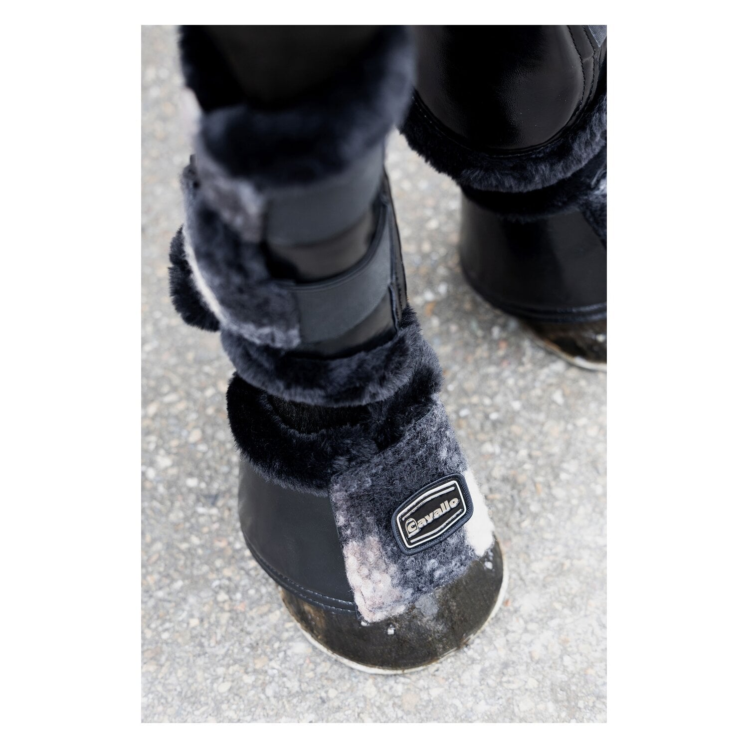 Cavallo Hufglocken CAVALLEVIA &ndash; Ansicht 2