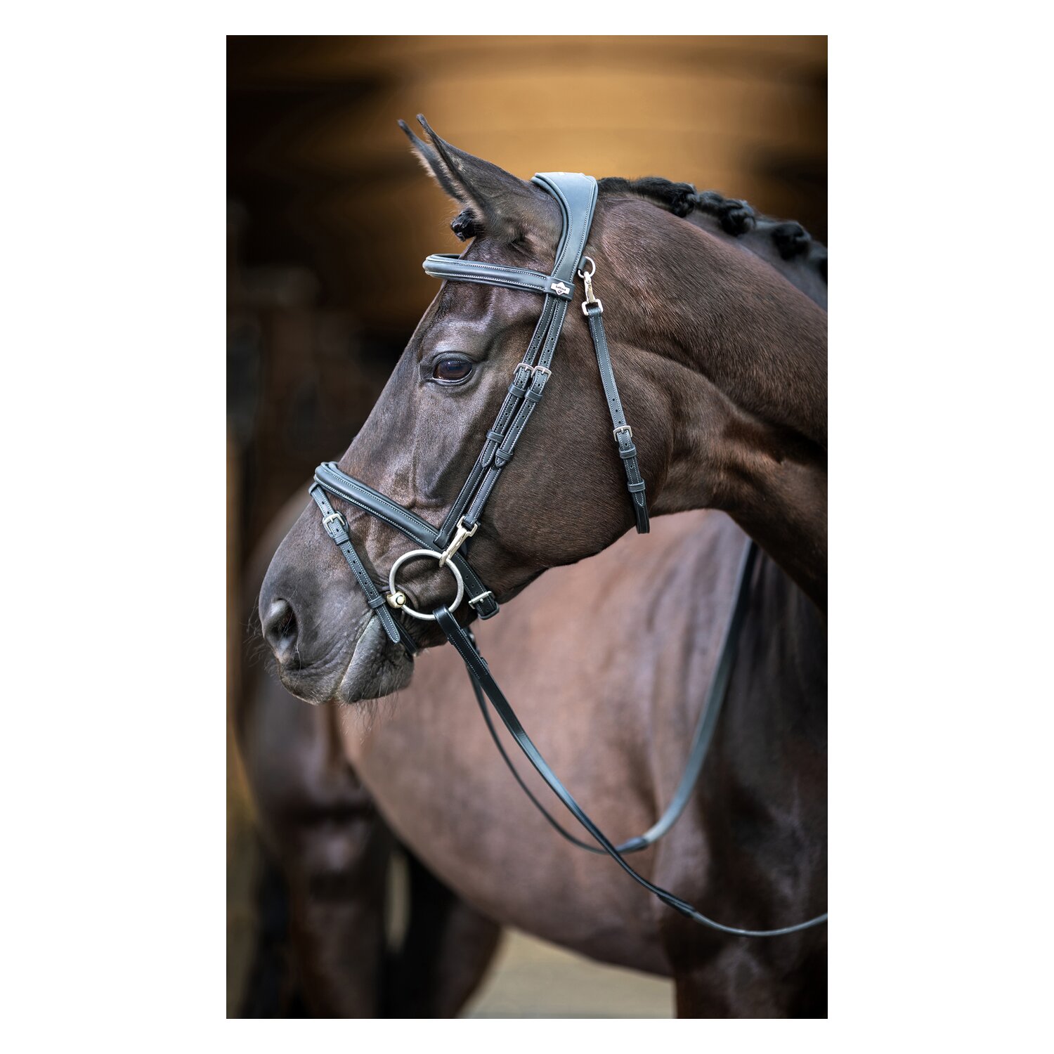 LeMieux Trense Kudos Work Bridle &ndash; Ansicht 2