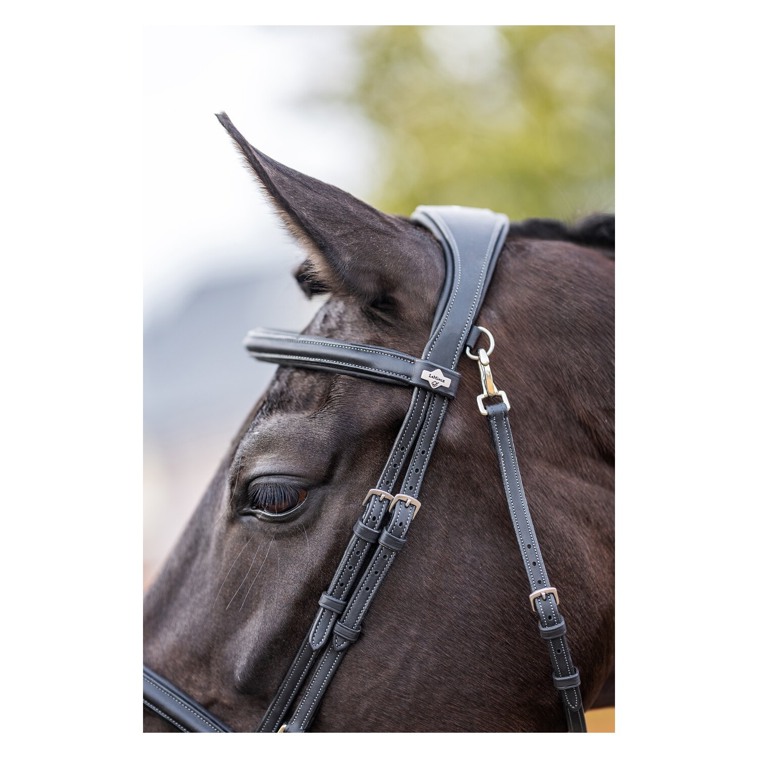 LeMieux Trense Kudos Work Bridle &ndash; Ansicht 3