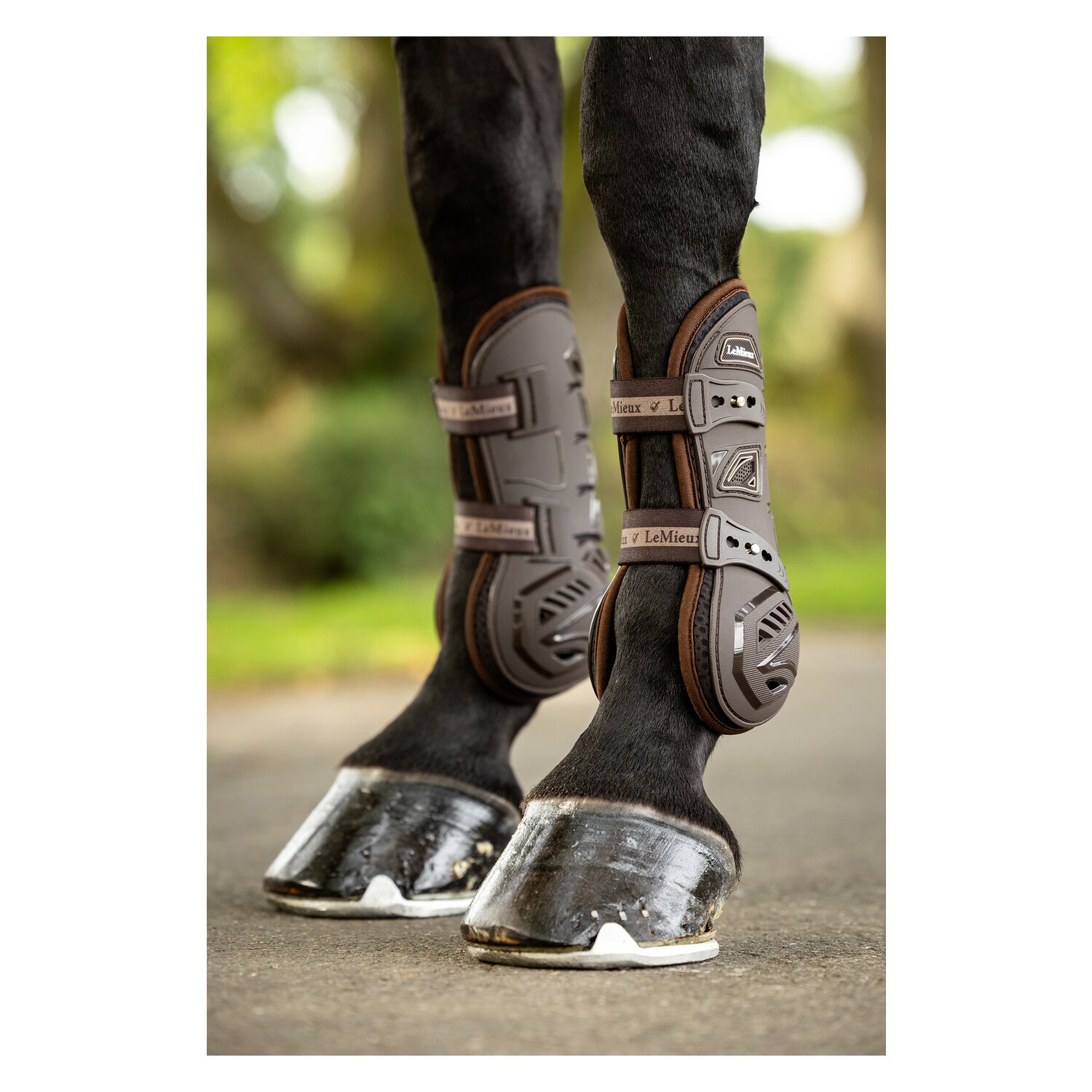 LeMieux Gamaschen Motion Cool Tendon &ndash; Ansicht 9