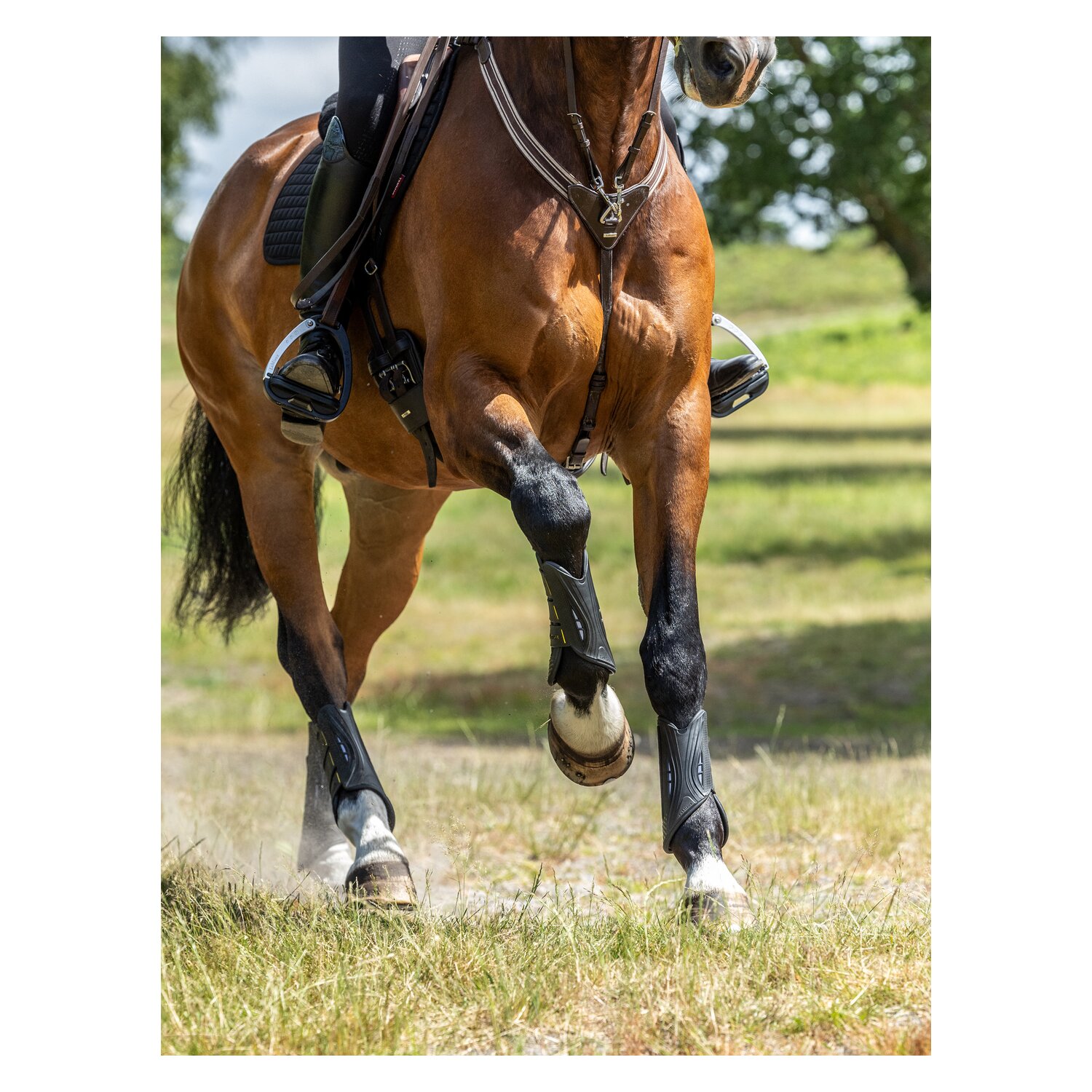 LeMieux Gamaschen MIMsafe XC Boot Front, für Vorderbeine &ndash; Ansicht 6