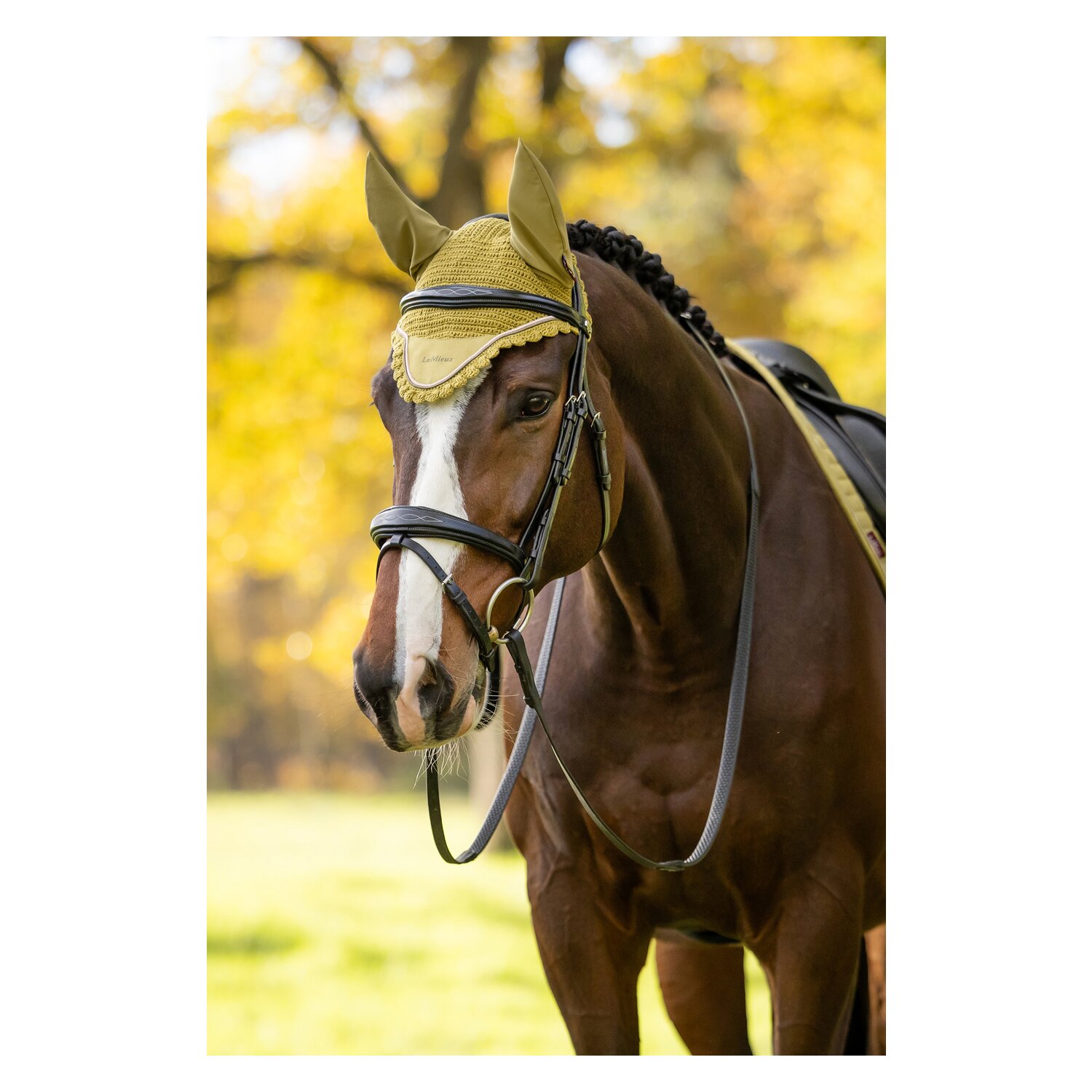 LeMieux Fliegenhaube Classic Fly Hood &ndash; Ansicht 4