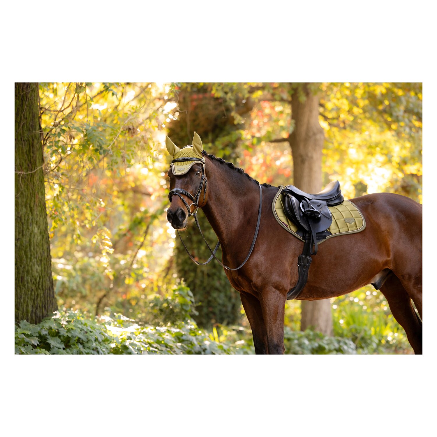 LeMieux Fliegenhaube Classic Fly Hood &ndash; Ansicht 5