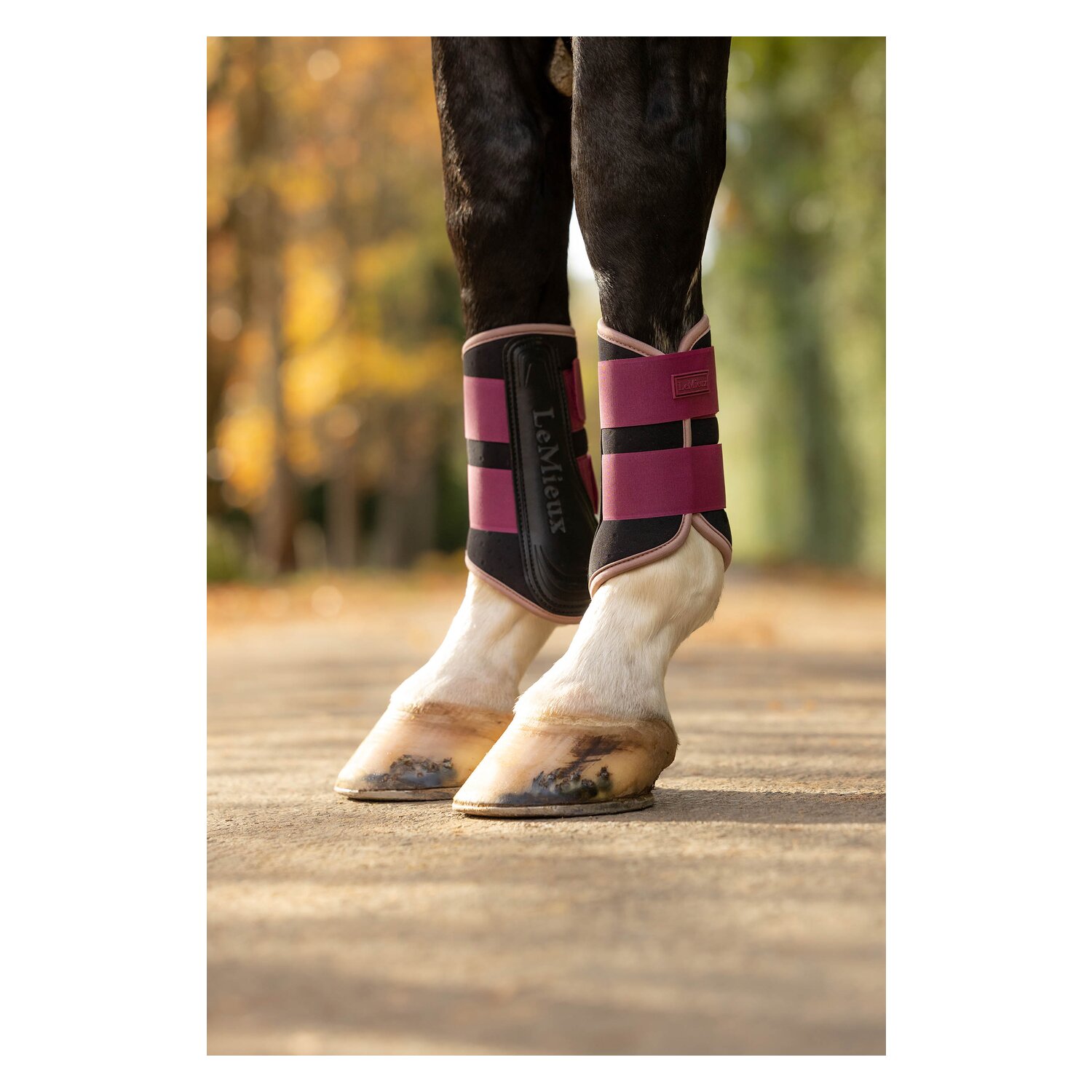 LeMieux Gamaschen Air-Tek Grafter Brushing Boots &ndash; Ansicht 8