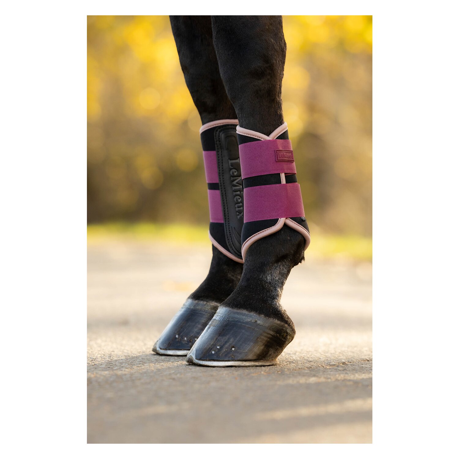 LeMieux Gamaschen Air-Tek Grafter Brushing Boots &ndash; Ansicht 10