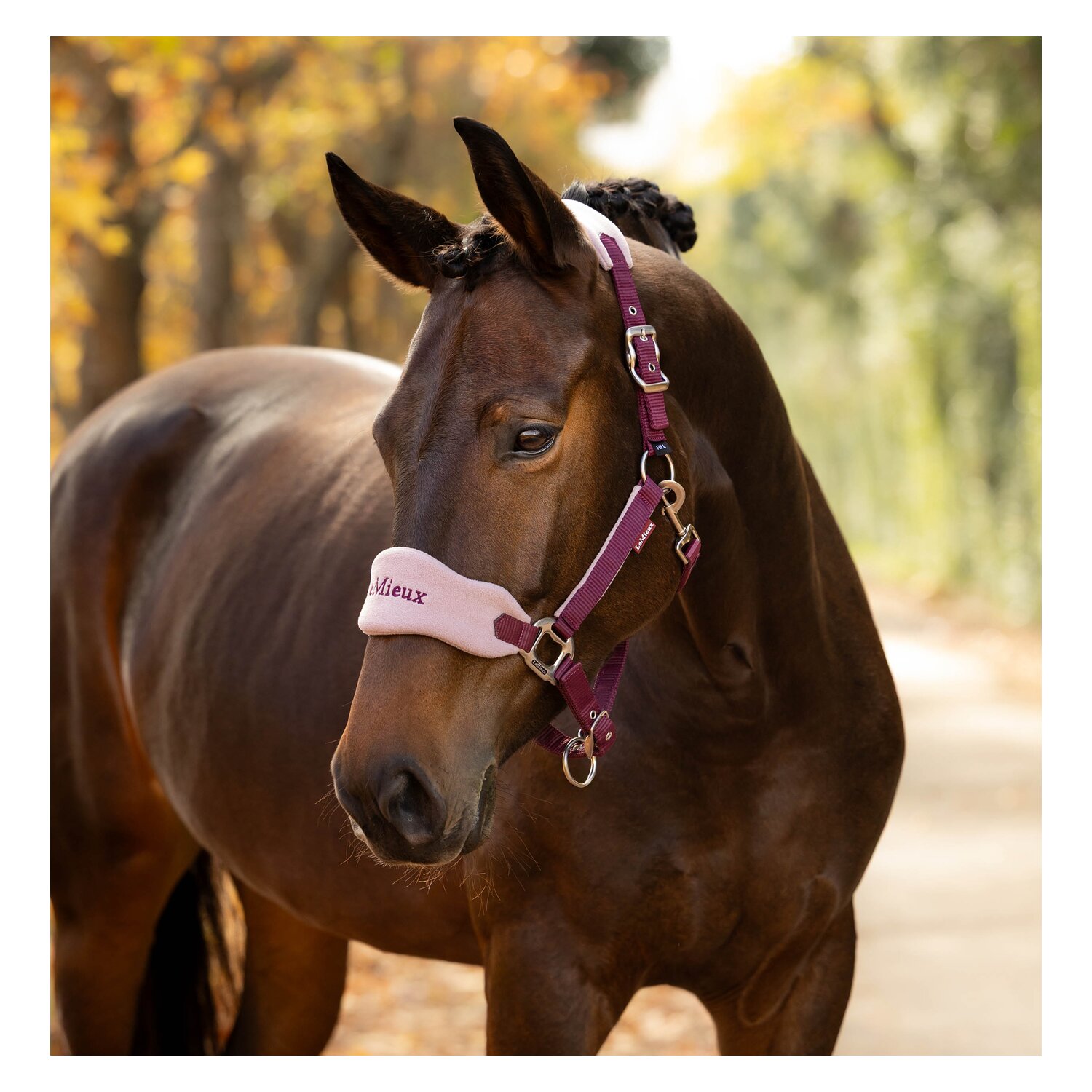 LeMieux Halfter Vouge Headcollar & Leadrope &ndash; Ansicht 4