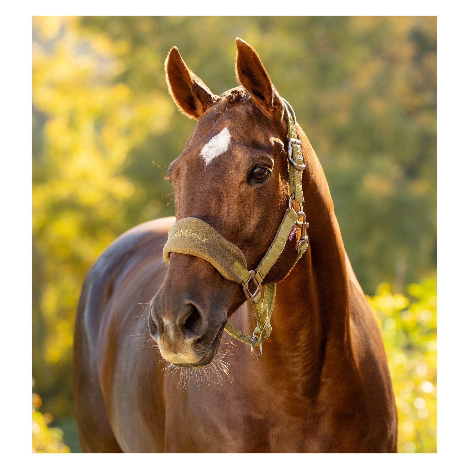 LeMieux Halfter Vouge Headcollar & Leadrope &ndash; Ansicht 3
