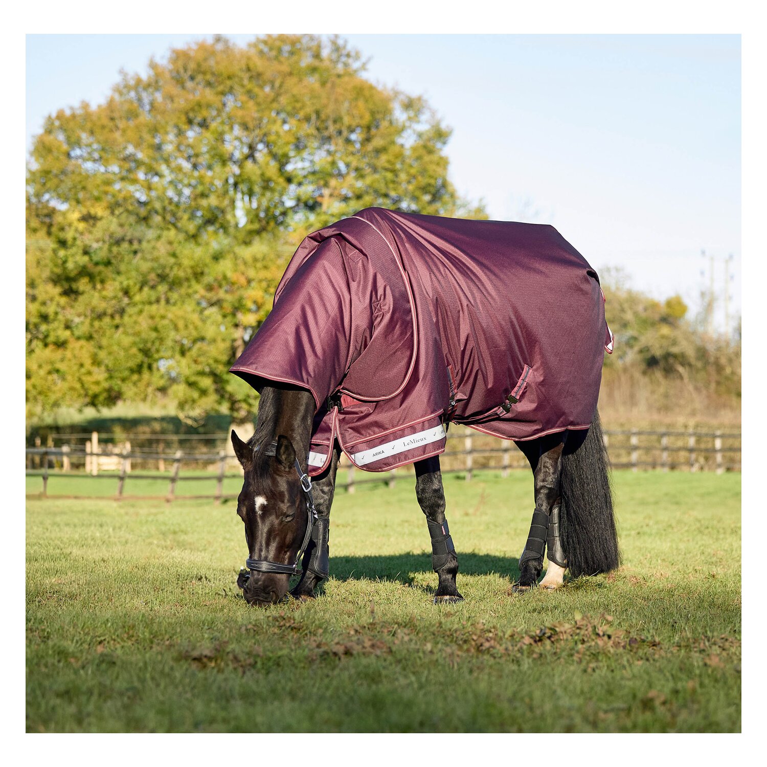LeMieux Weidedecke Arika Ripstop 100 g Turnout &ndash; Ansicht 2