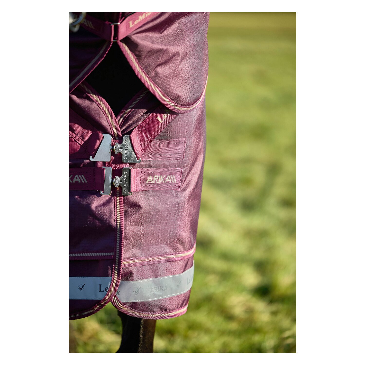 LeMieux Weidedecke Arika Ripstop 100 g Turnout &ndash; Ansicht 3
