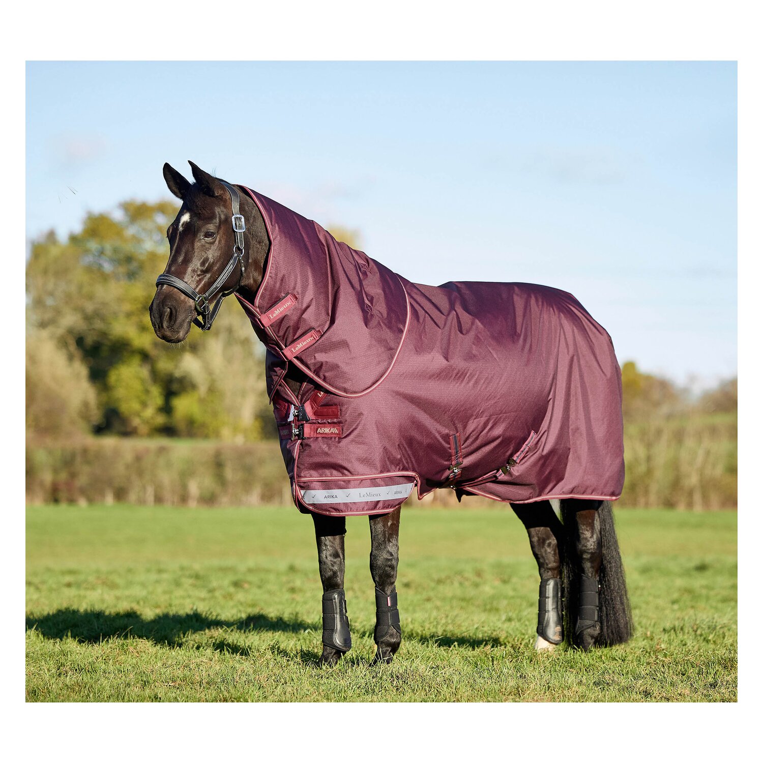 LeMieux Weidedecke Arika Ripstop 100 g Turnout &ndash; Ansicht 1