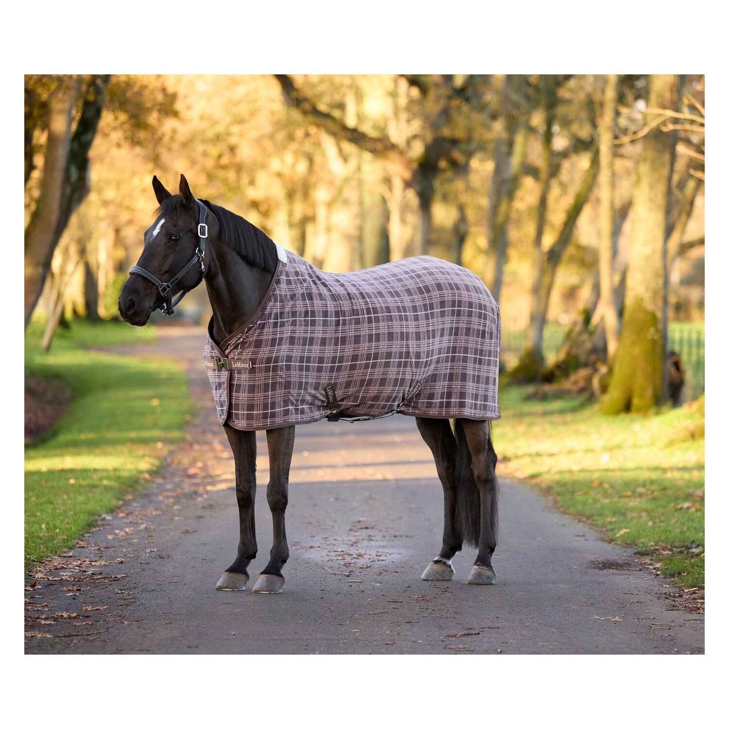 LeMieux Fleecedecke Heritage Check Fleece &ndash; Ansicht 2