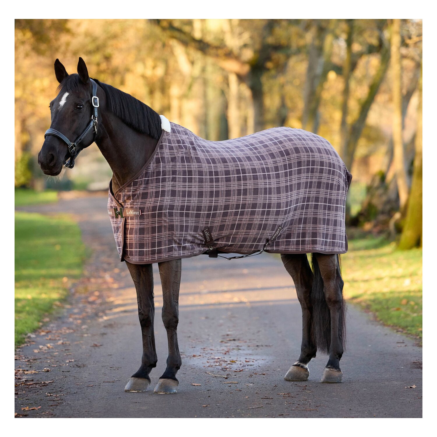 LeMieux Fleecedecke Heritage Check Fleece &ndash; Ansicht 1