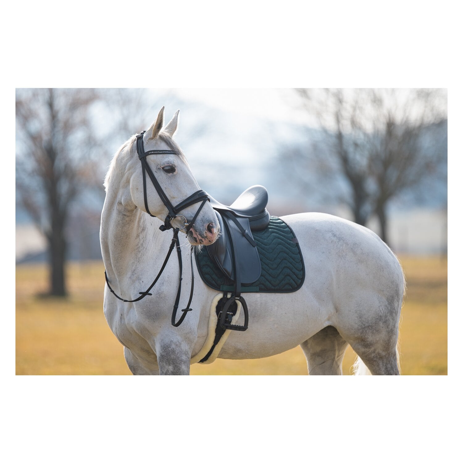 Horse-friends Schabracke Ancona &ndash; Ansicht 3
