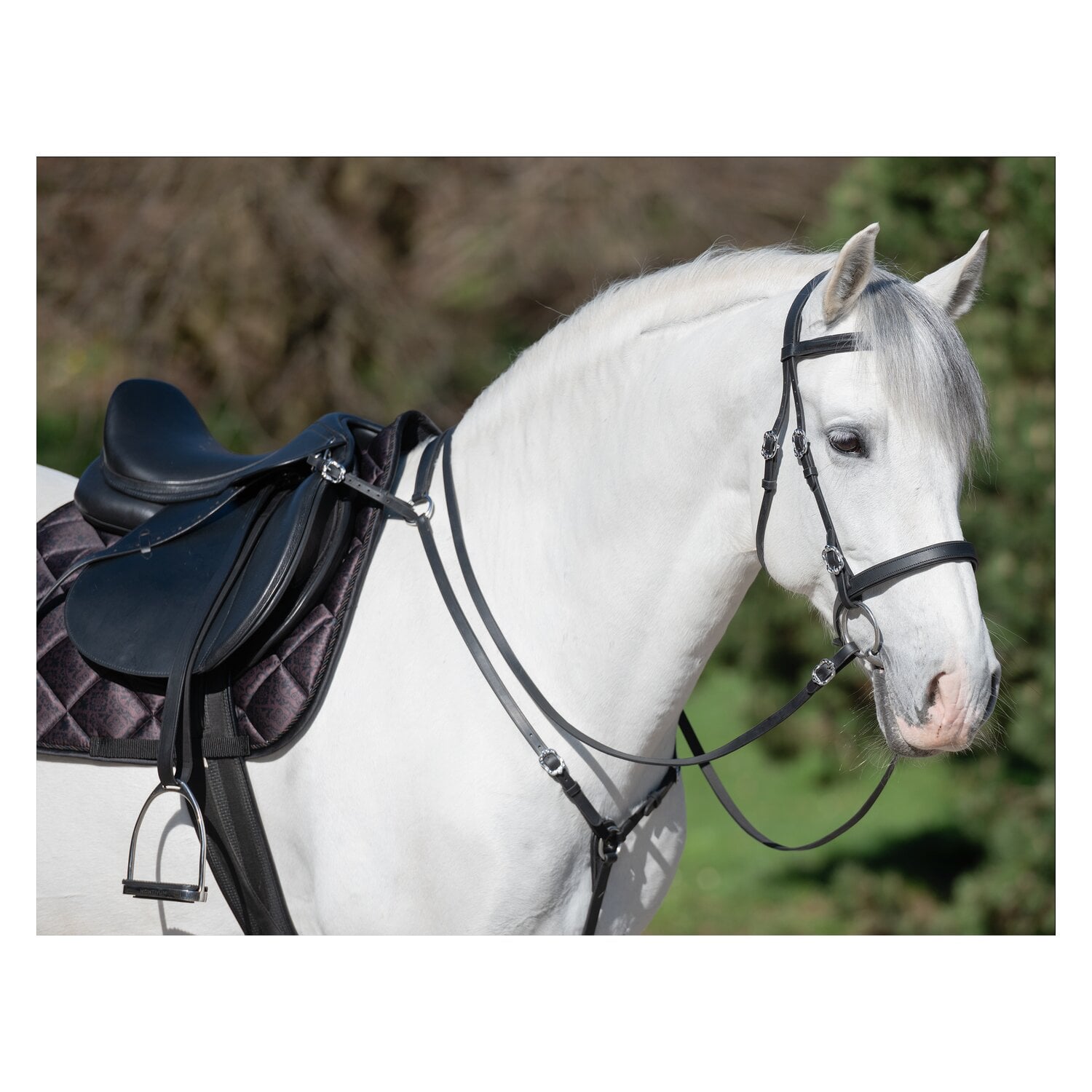 Horse-friends Spanische Schabracke Sevilla &ndash; Ansicht 2