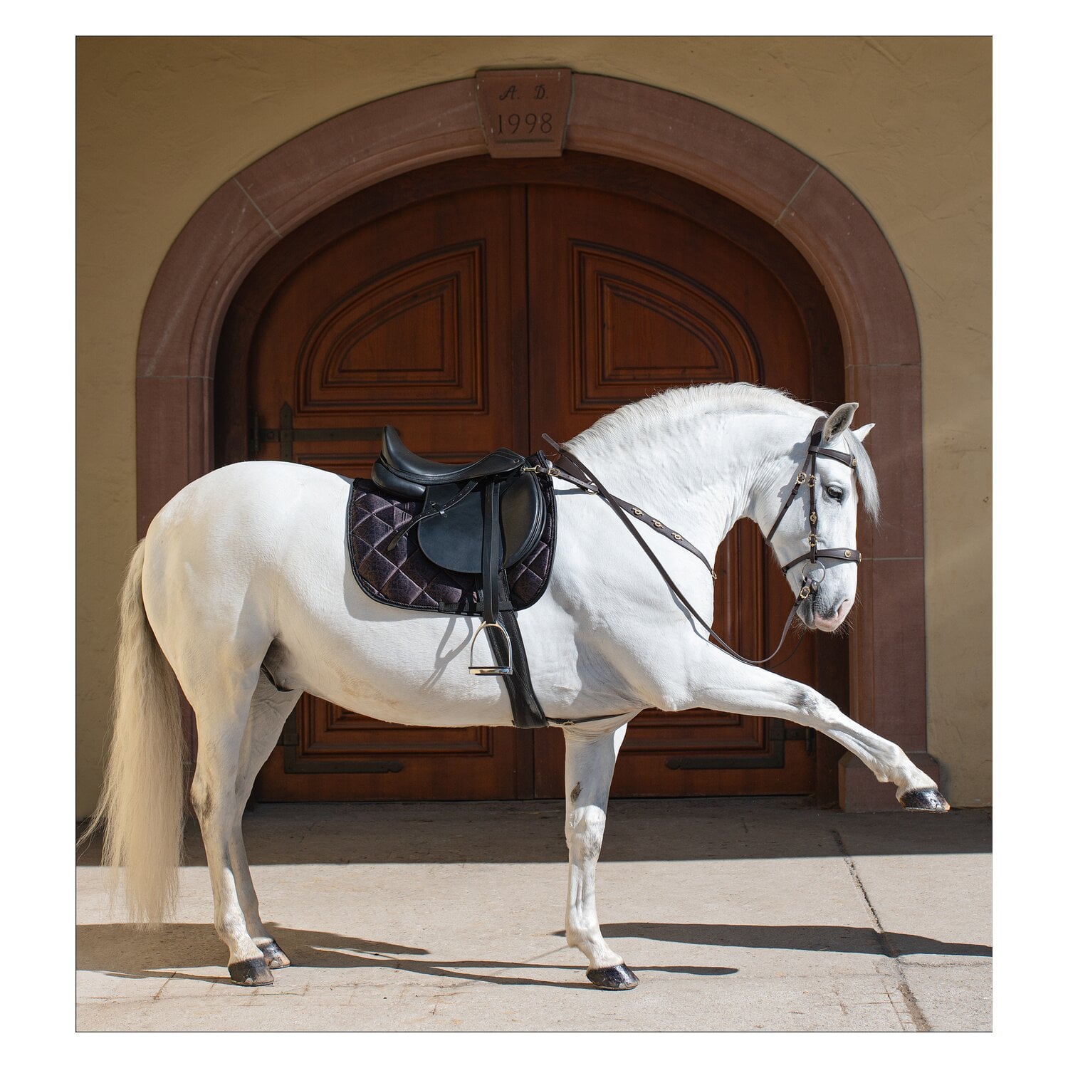 Horse-friends Spanische Schabracke Sevilla &ndash; Ansicht 1
