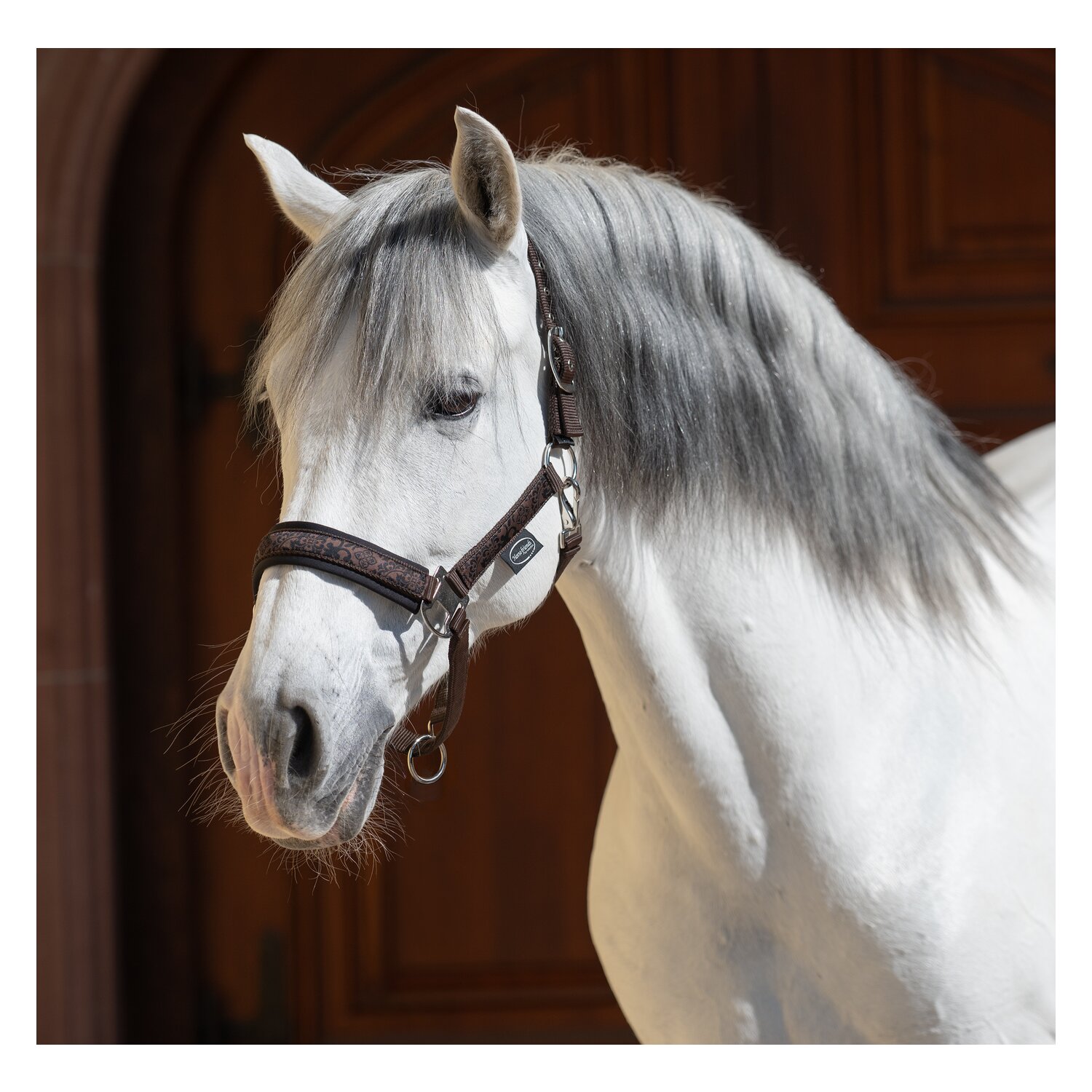 Horse-friends Spanisches Halfter Sevilla &ndash; Ansicht 2
