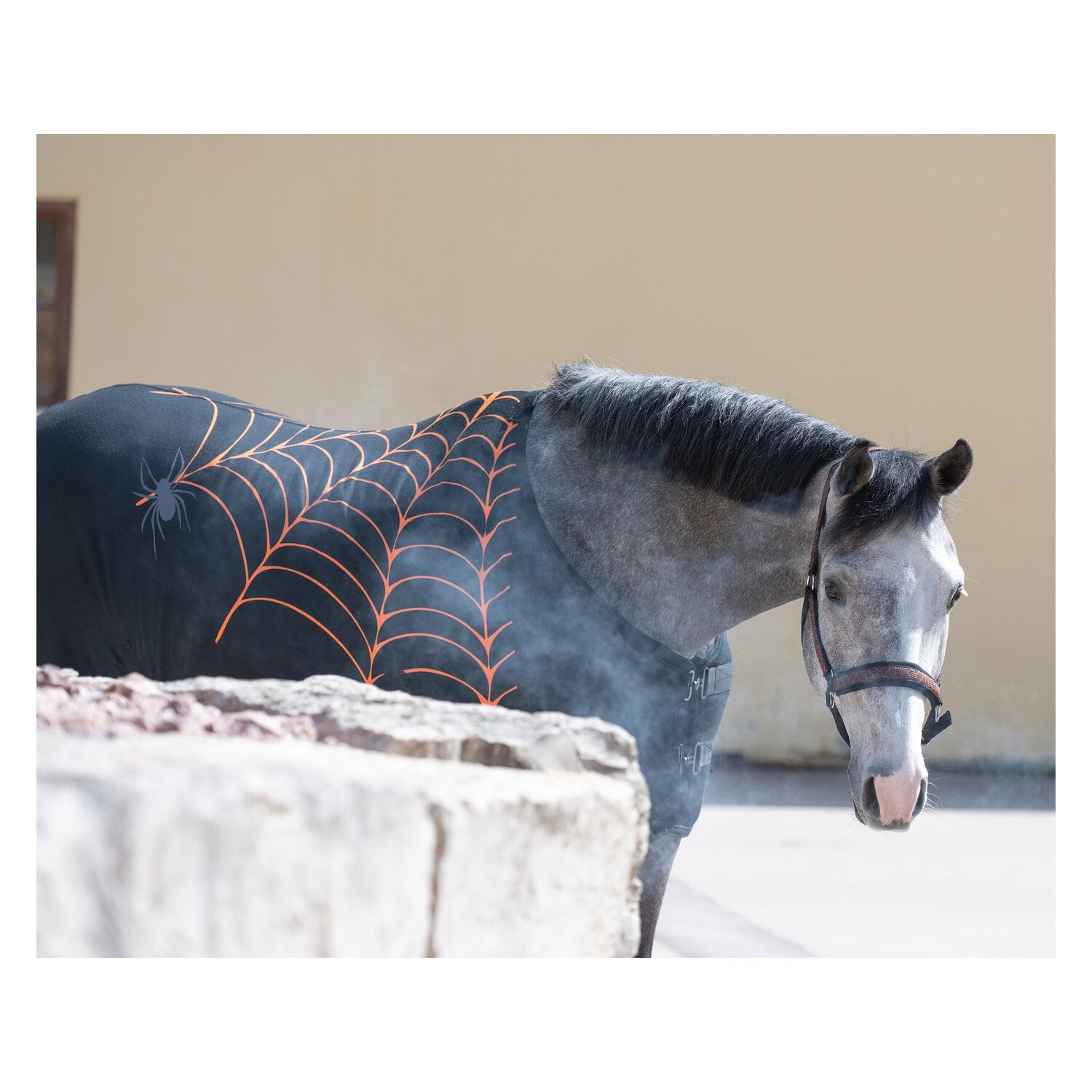 Horse-friends Halfter Halloween &ndash; Ansicht 5