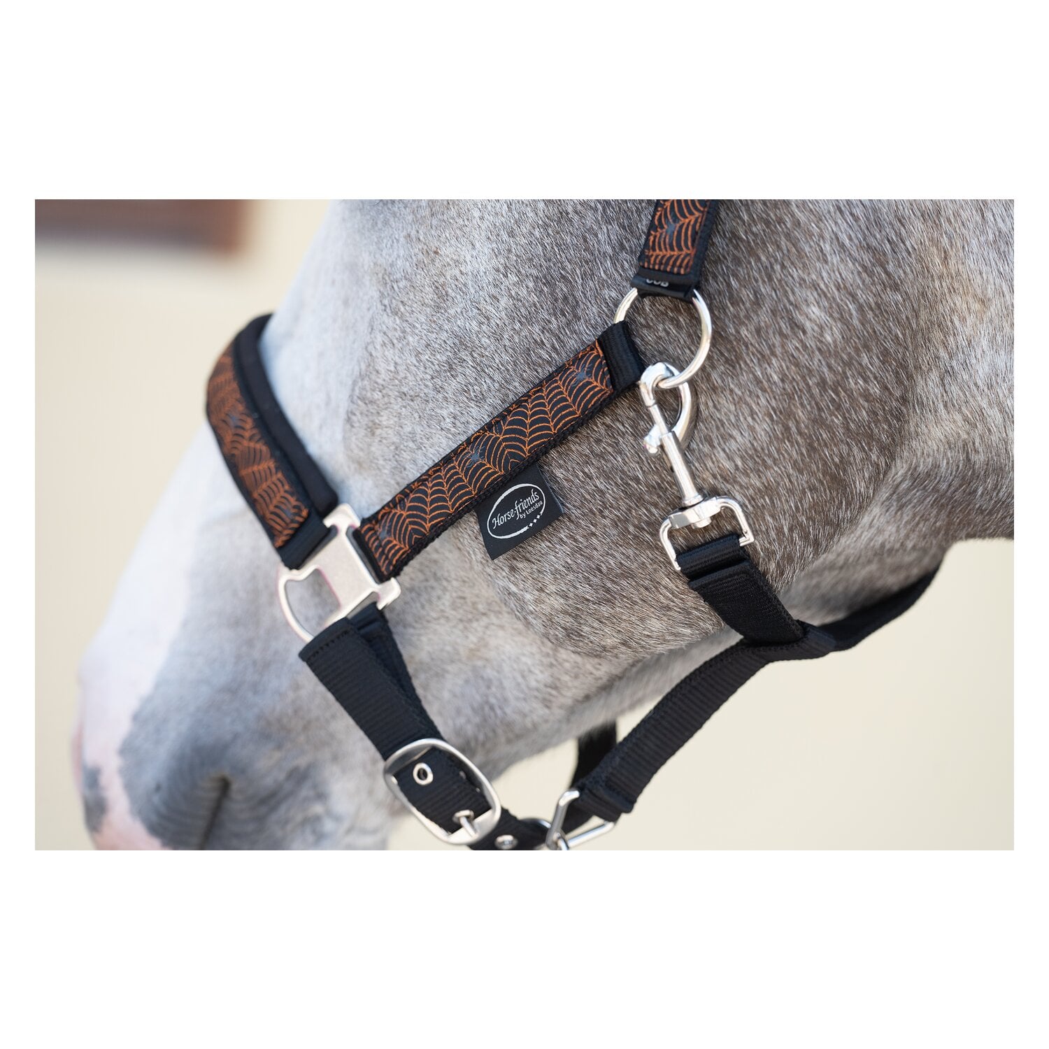 Horse-friends Halfter Halloween &ndash; Ansicht 4