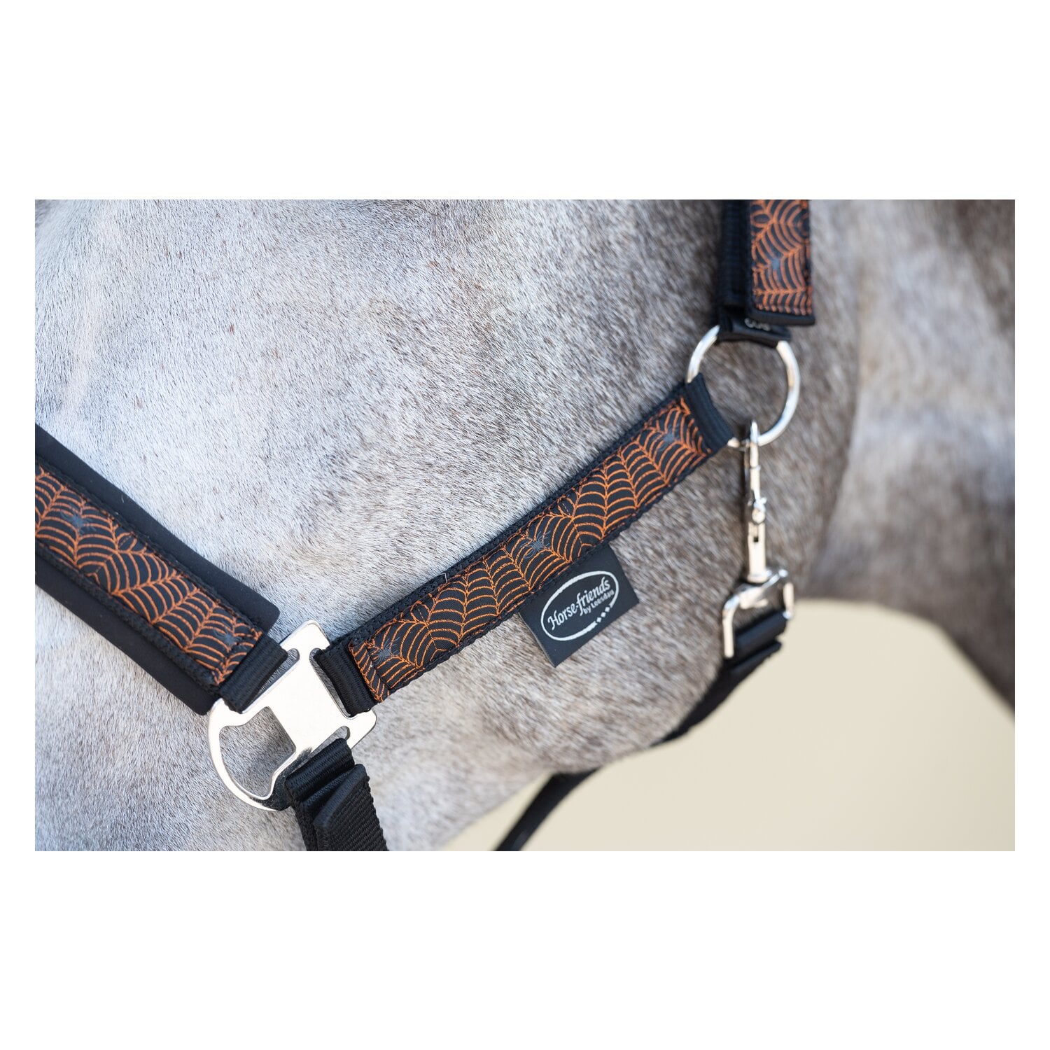 Horse-friends Halfter Halloween &ndash; Ansicht 3