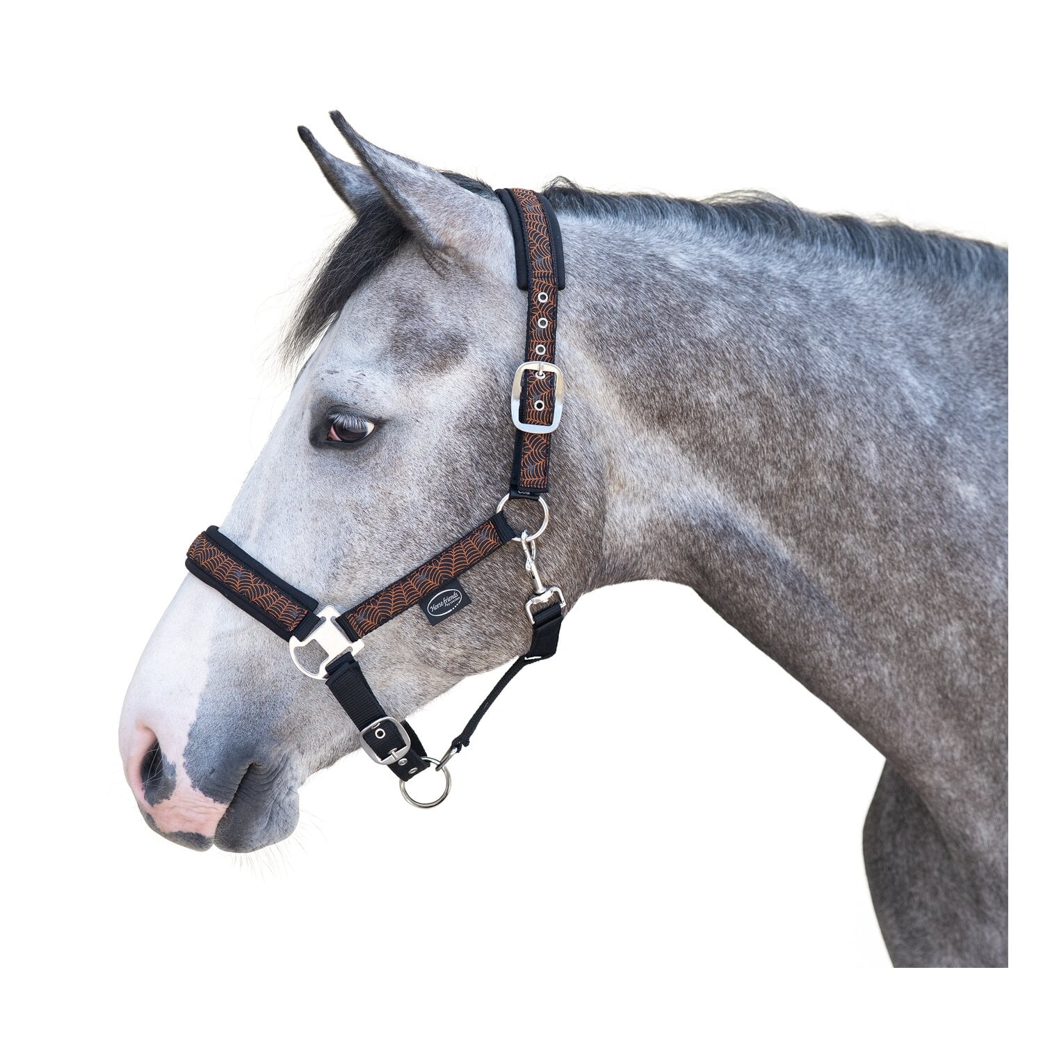 Horse-friends Halfter Halloween &ndash; Ansicht 1