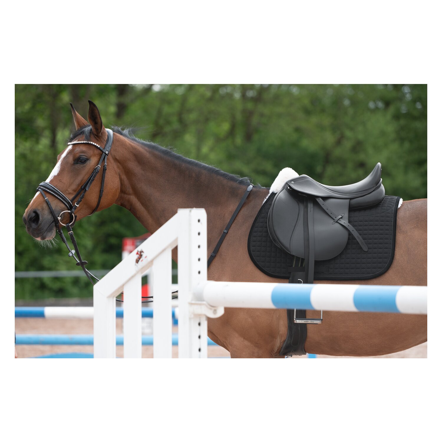 Horse-friends Lammfell-Schabracke Mesh – Ansicht 8