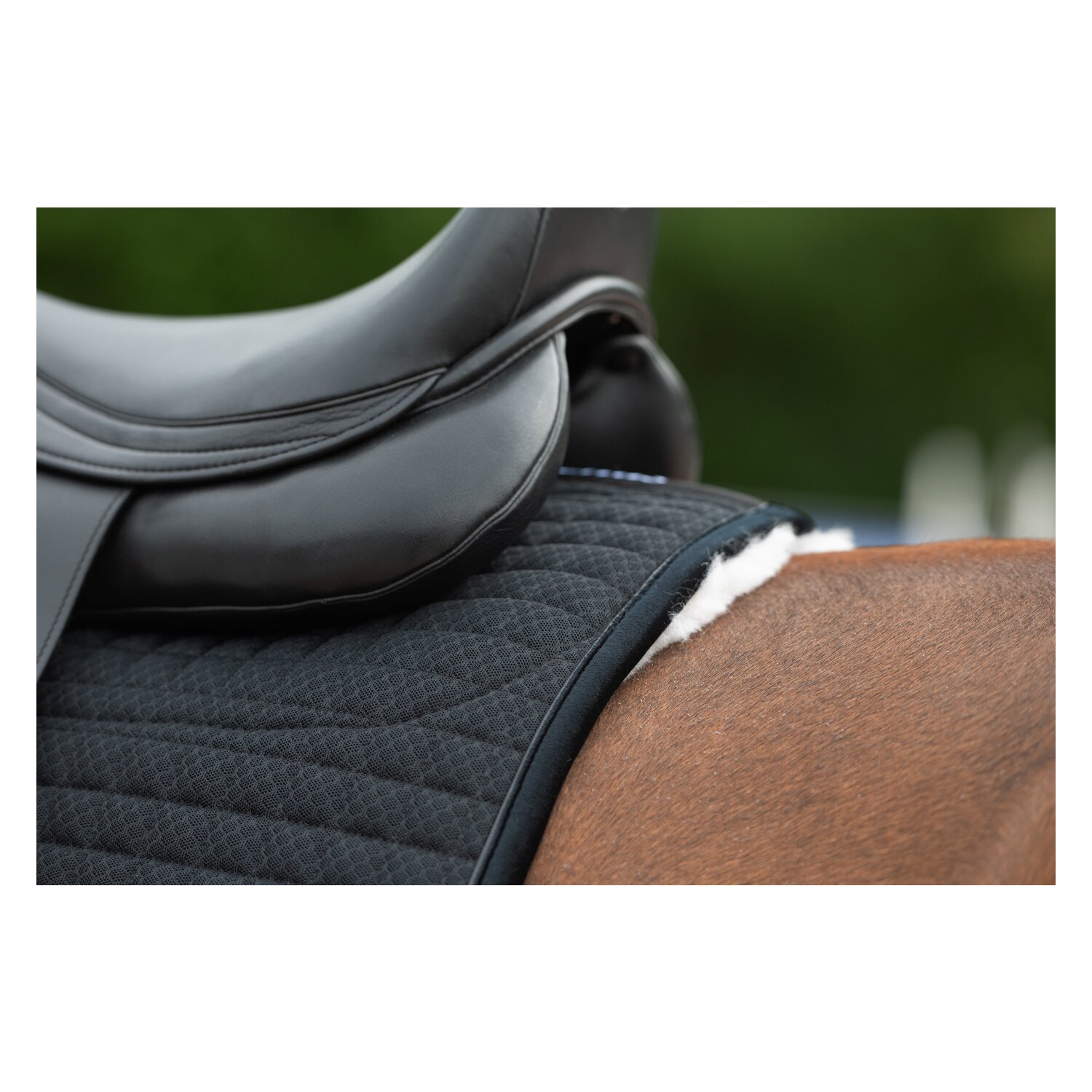 Horse-friends Lammfell-Schabracke Mesh – Ansicht 3