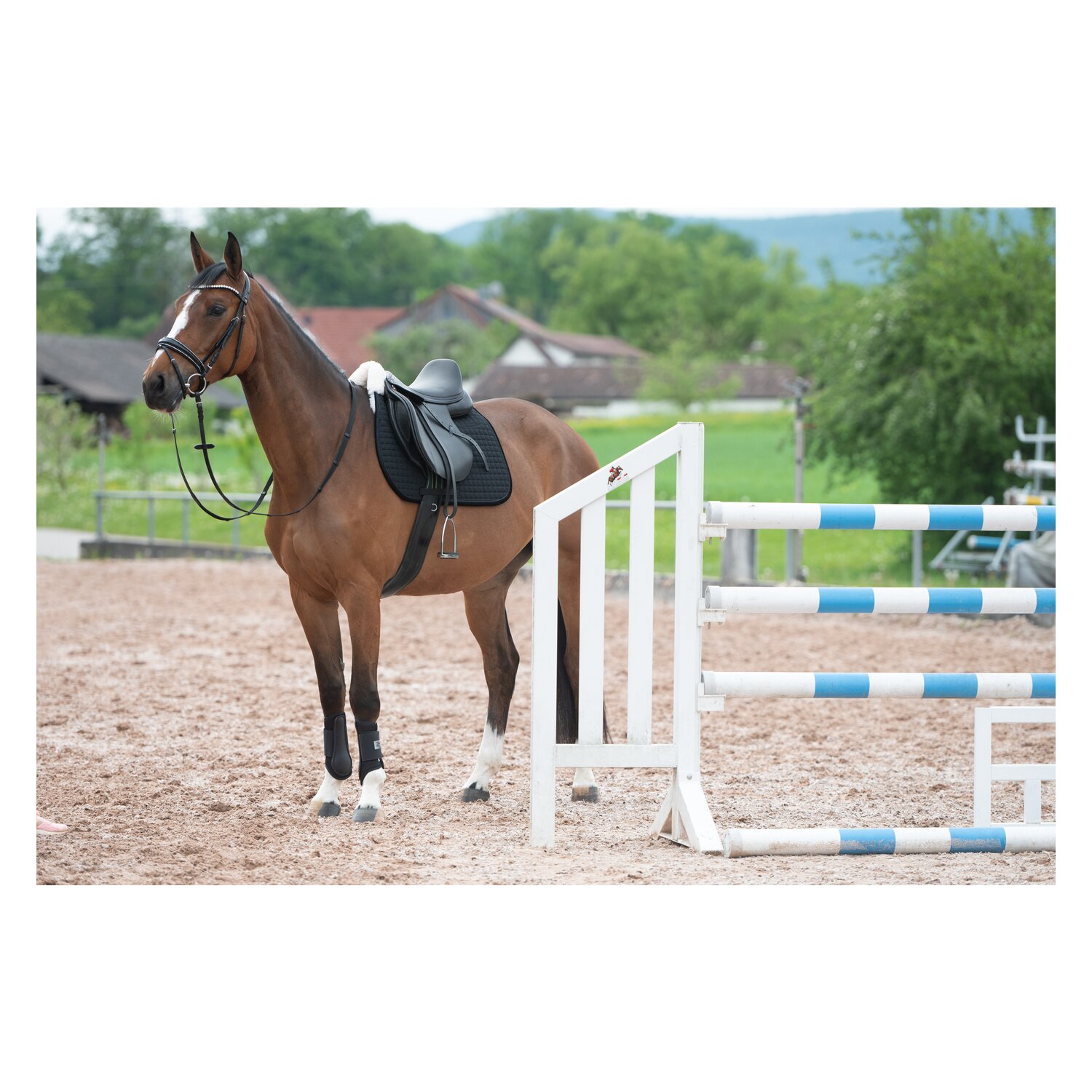 Horse-friends Lammfell-Schabracke Mesh – Ansicht 7
