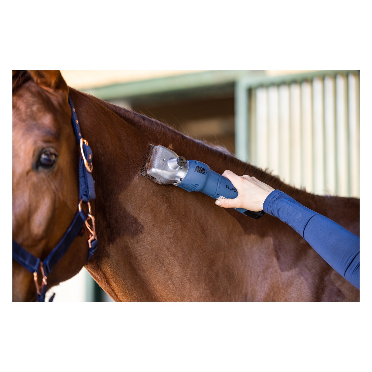 KERBL Akku-Schermaschine FarmClipper – Ansicht 6