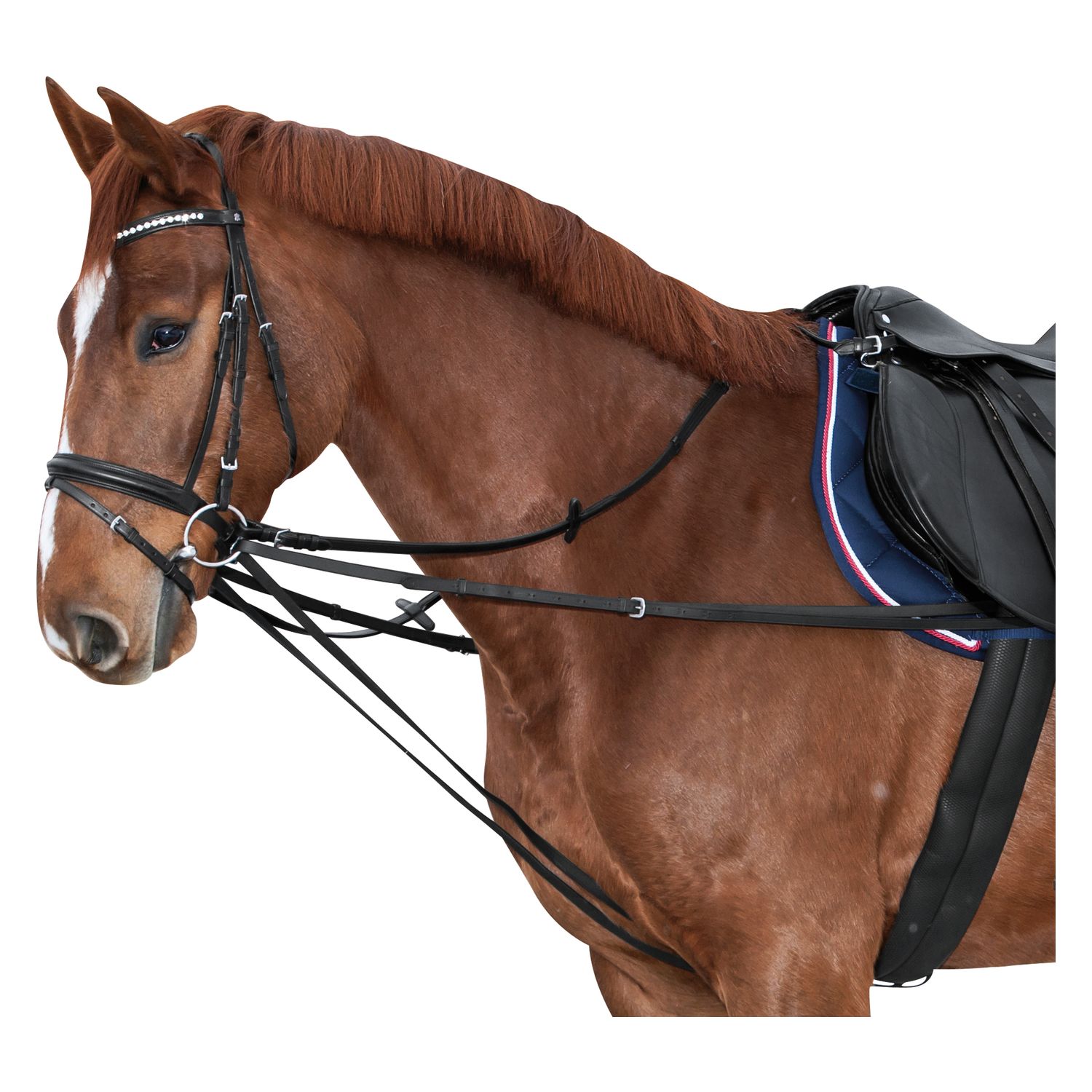 Laufferzügel geteilter Wienerzügel – Ansicht 1