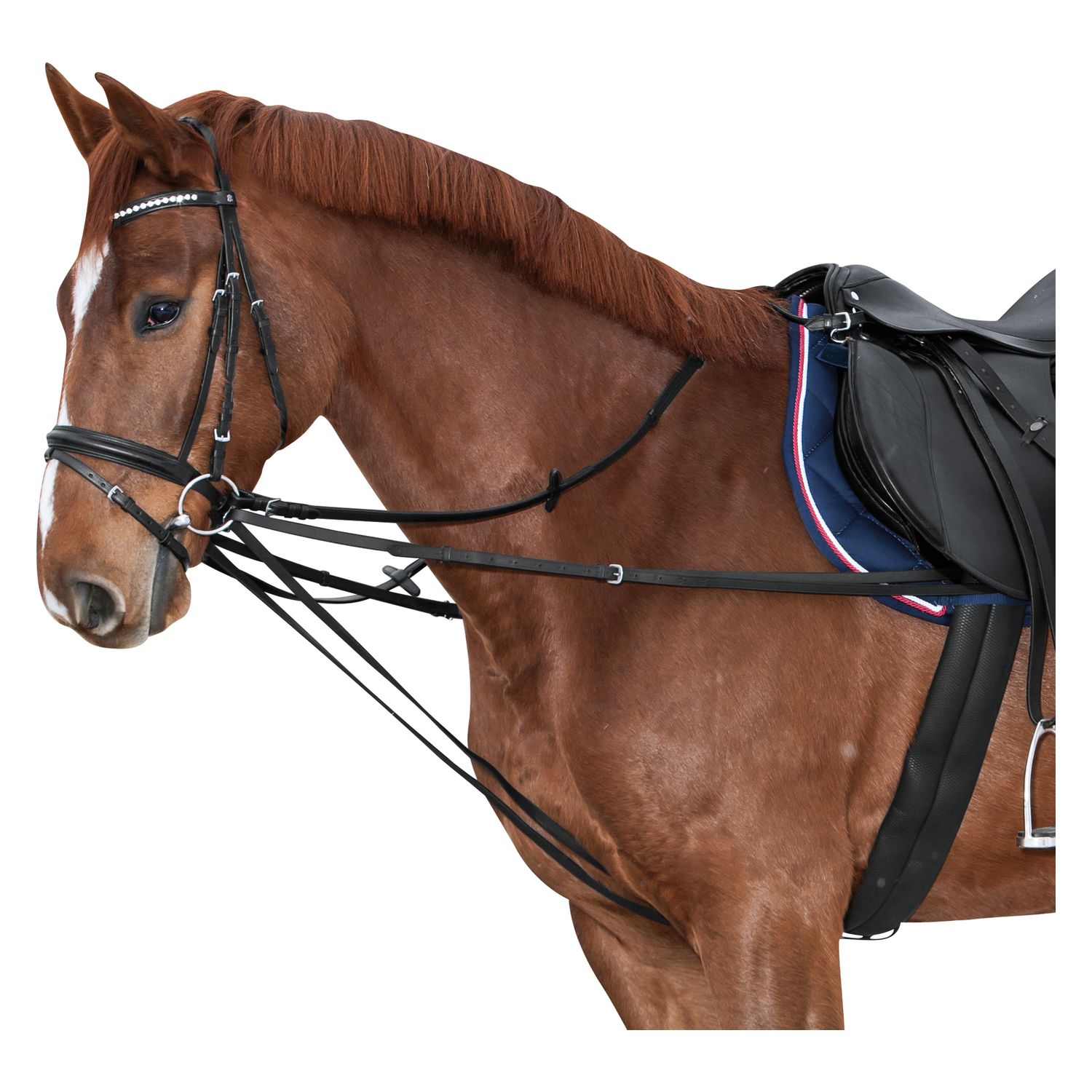 Laufferzügel geteilter Wienerzügel, für Ponys &ndash; Ansicht 1