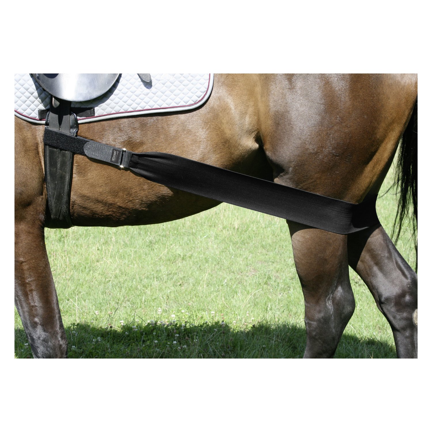 EQUEST Körperbandage – Ansicht 1